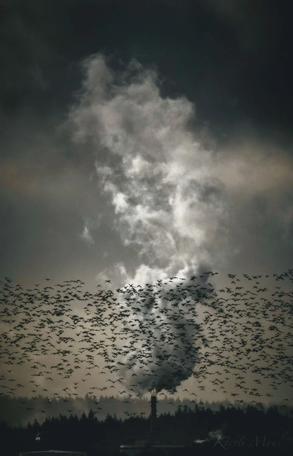 IMG-9287 (Kersti Muul).JPG