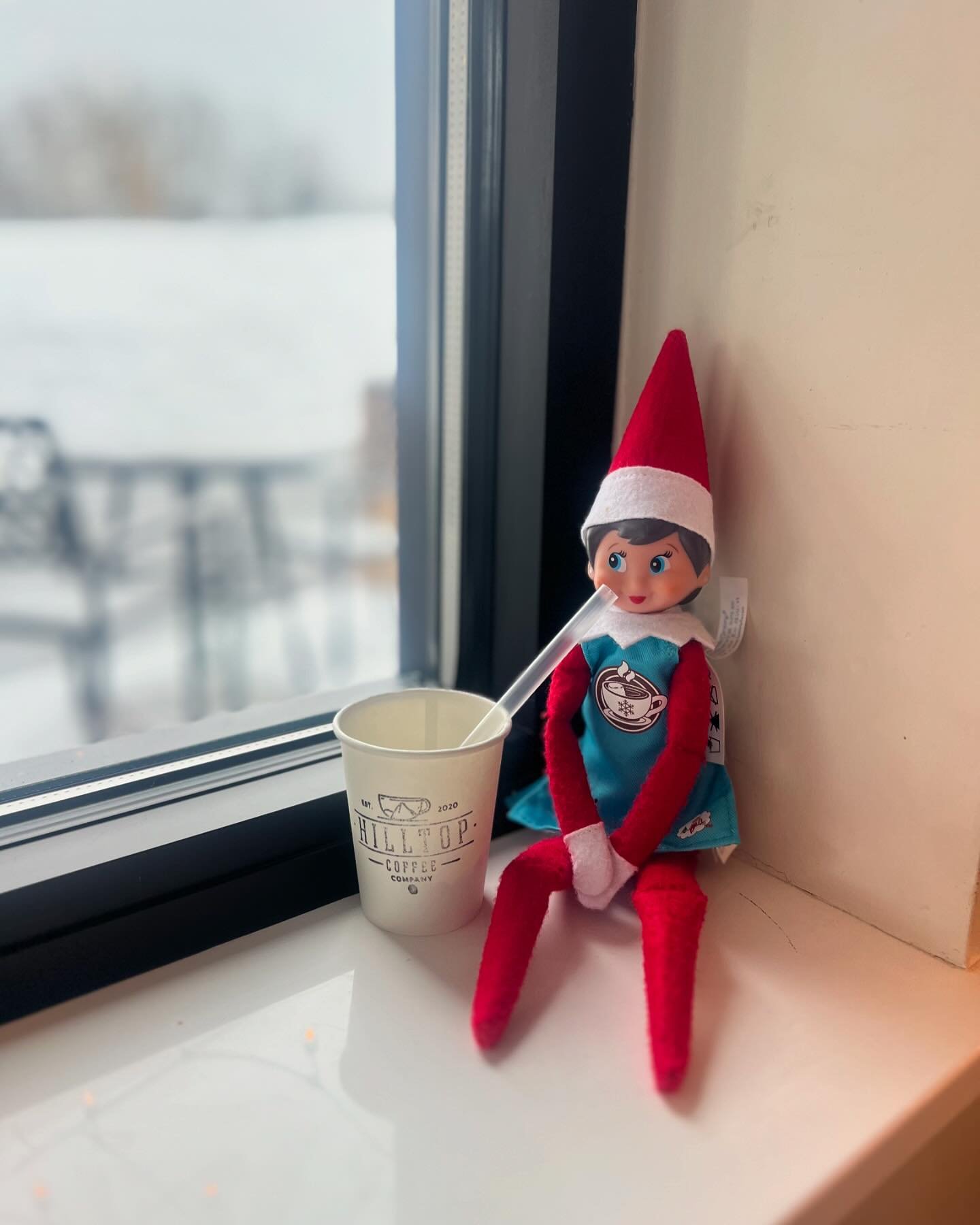 Ditching the highway for a snow-kissed scenic route led us to a hidden gem! 🌨️☕️ A former medical center turned bohemian coffee haven stole our hearts. Proof that taking the road less traveled (even if it's a scary narrow mountain road that was a ci