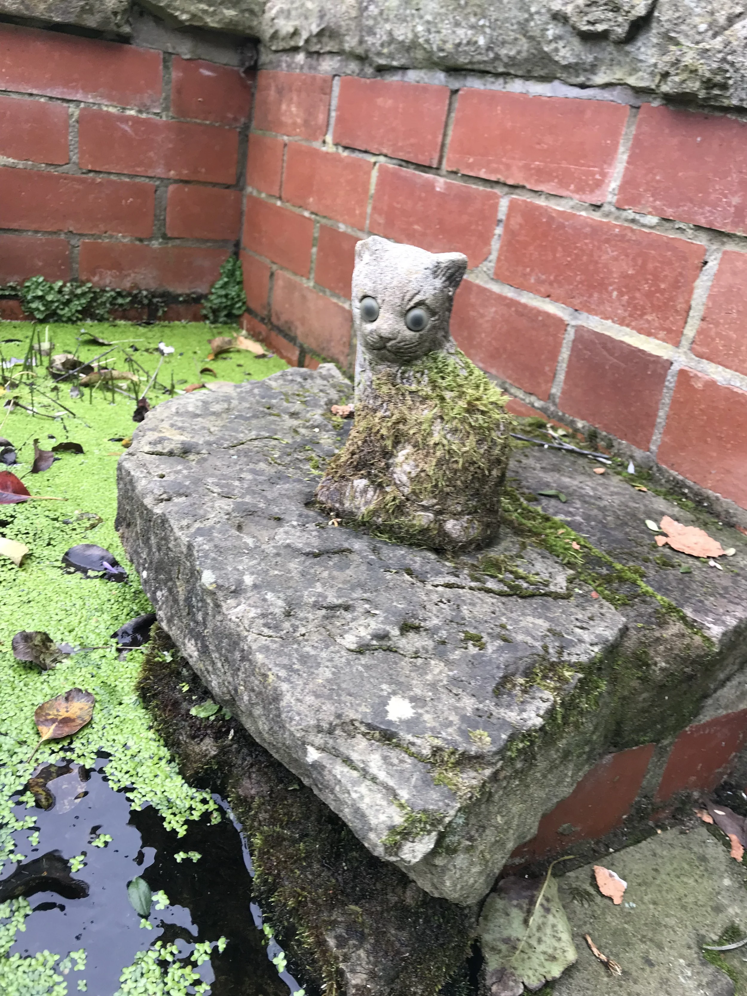 IMG_3802.jpeg