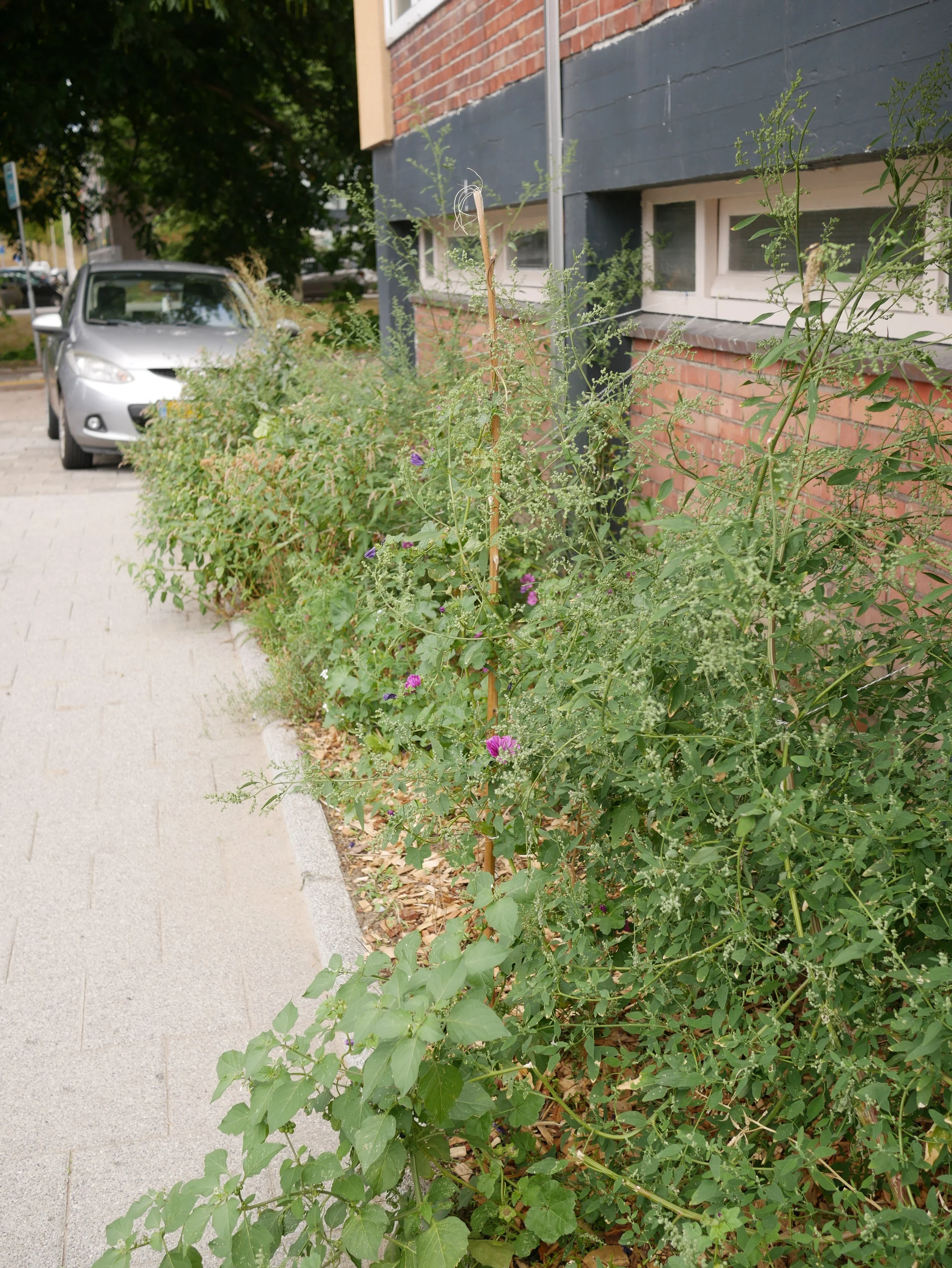 P1080165.JPG