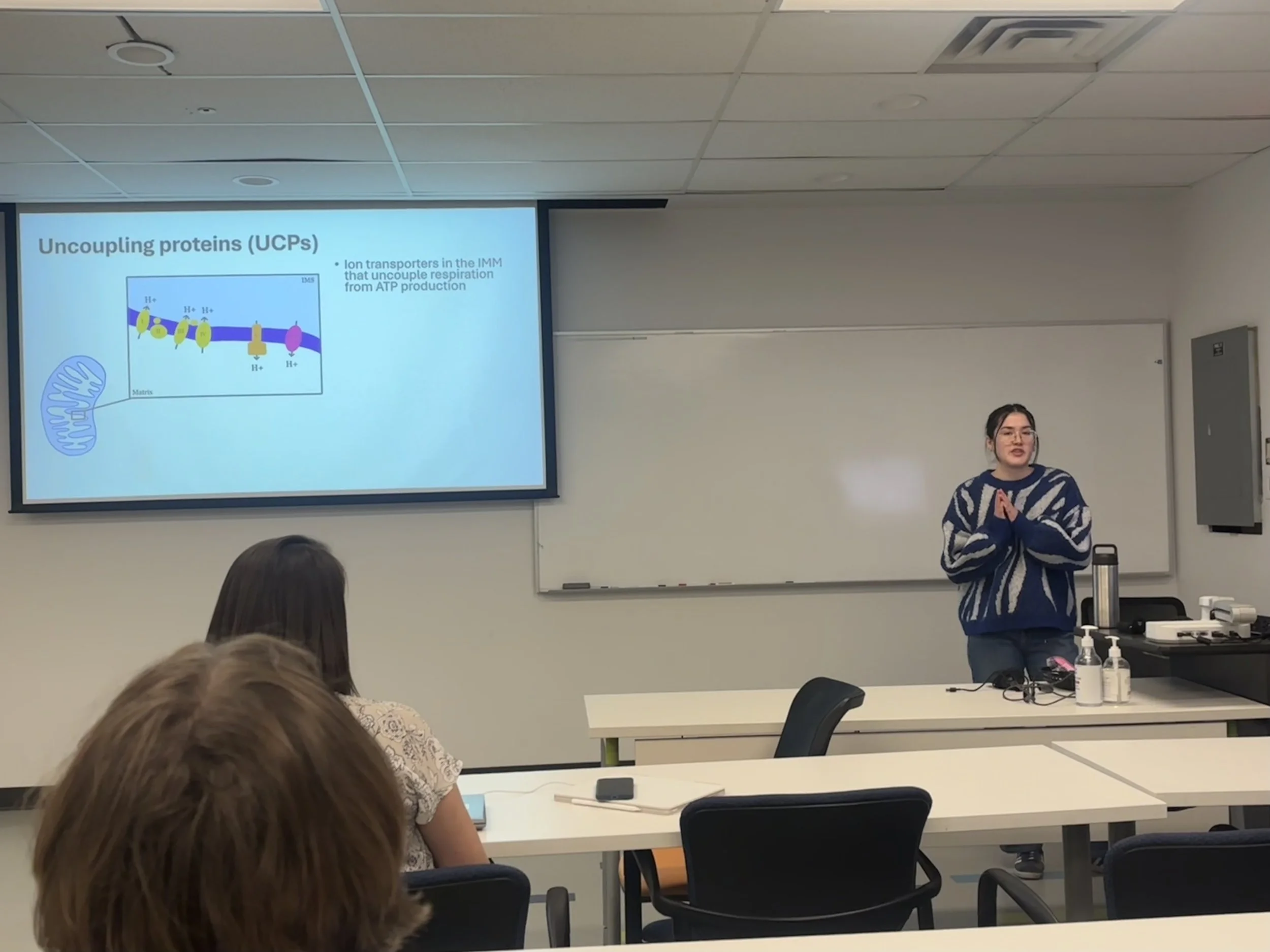 Undergraduate research students present at the URS