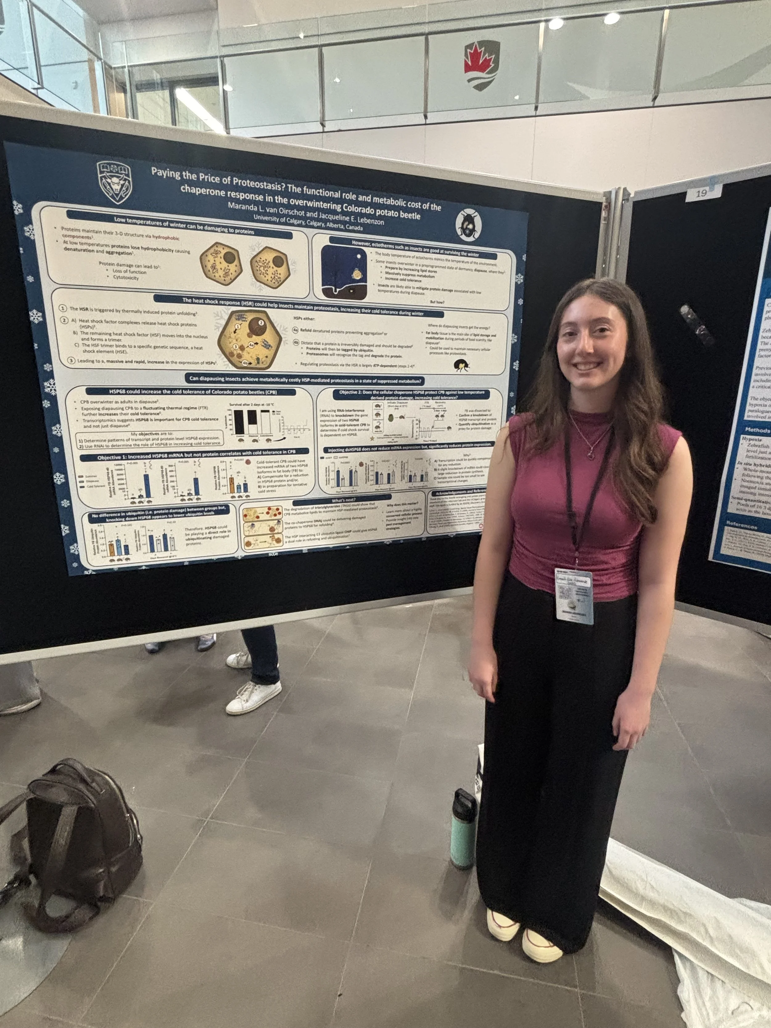 Maranda van Oirschot, MSc student and HSP queen.