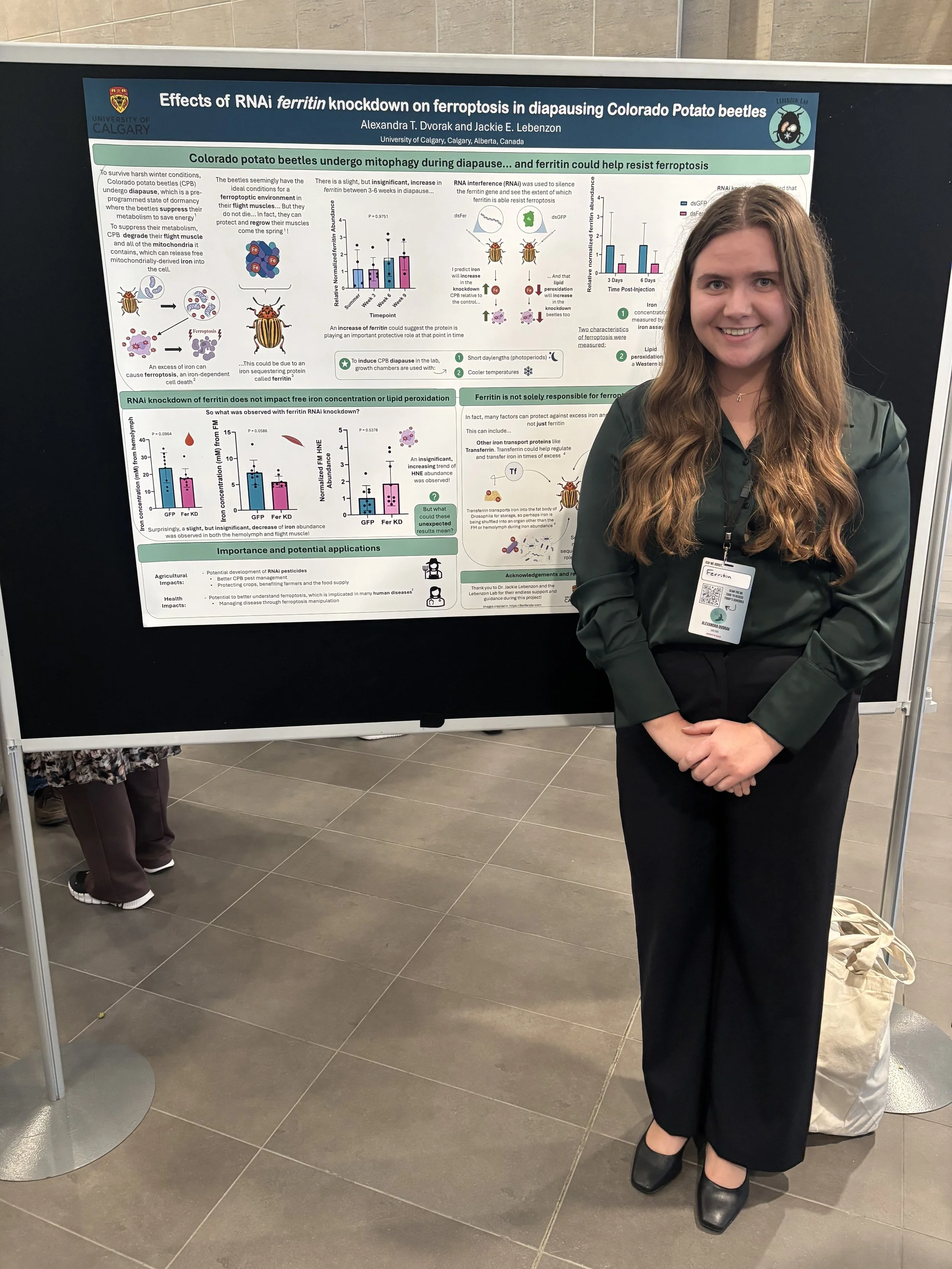 Alexandra Dvorak, Undergrad researcher and soon-to-be MSc, lover of ferritin.