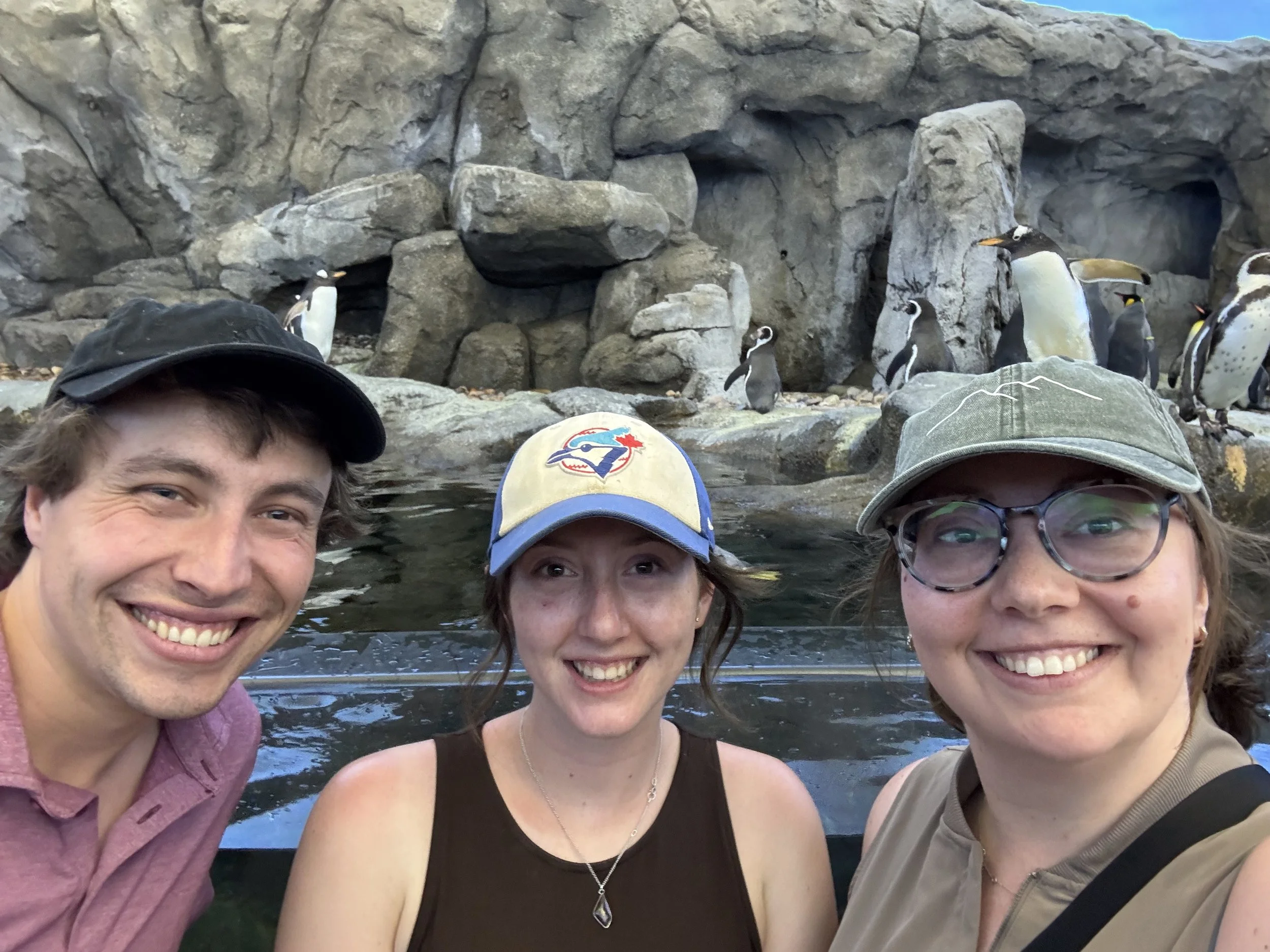 Partial Lab trip to the Calgary zoo. Left to right, bottom row: Marshall  (interloping PhD Candidate and expert transmission electron microscopist), Maranda (Lab Tech, MSc to be), Jackie (former Penguin plunge interpreter); Top row: Gentoo penguin, H