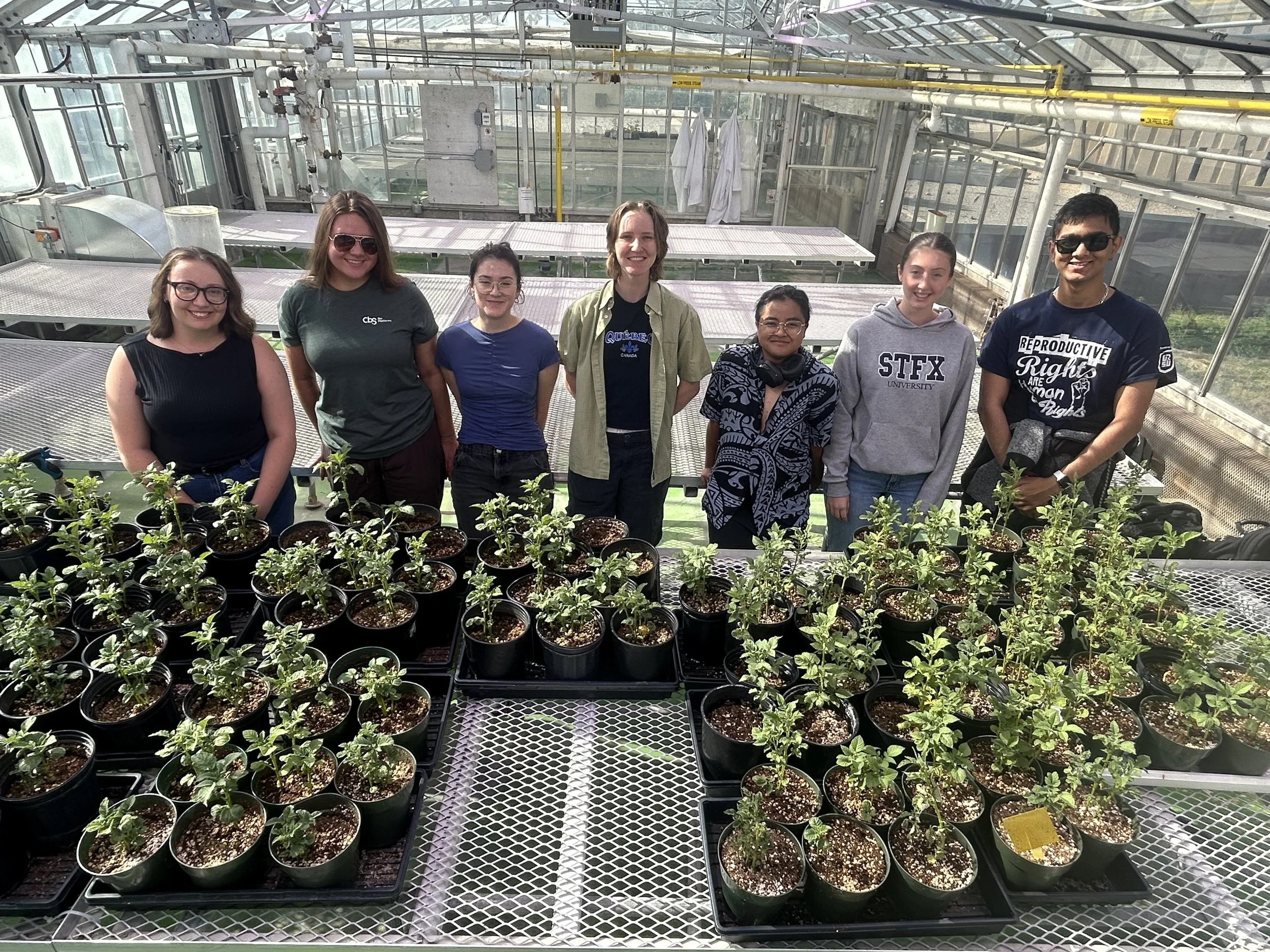 Lebenzon lab and our potato plants, Fall 2025 - Left to right, Jackie Lebenzon (big potato fan), Alexandra Dvorak (CMMB 528, ferroptosis enthusiast), Zoe Boklaschuk (BIOL 530, resident mitochondriac), Sophie Zaplachinski (MSc, expert beetle trapper),