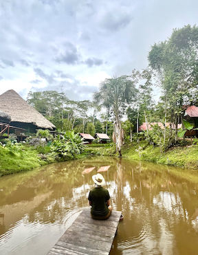 What I Learned on a 12-Day Ayahuasca Retreat