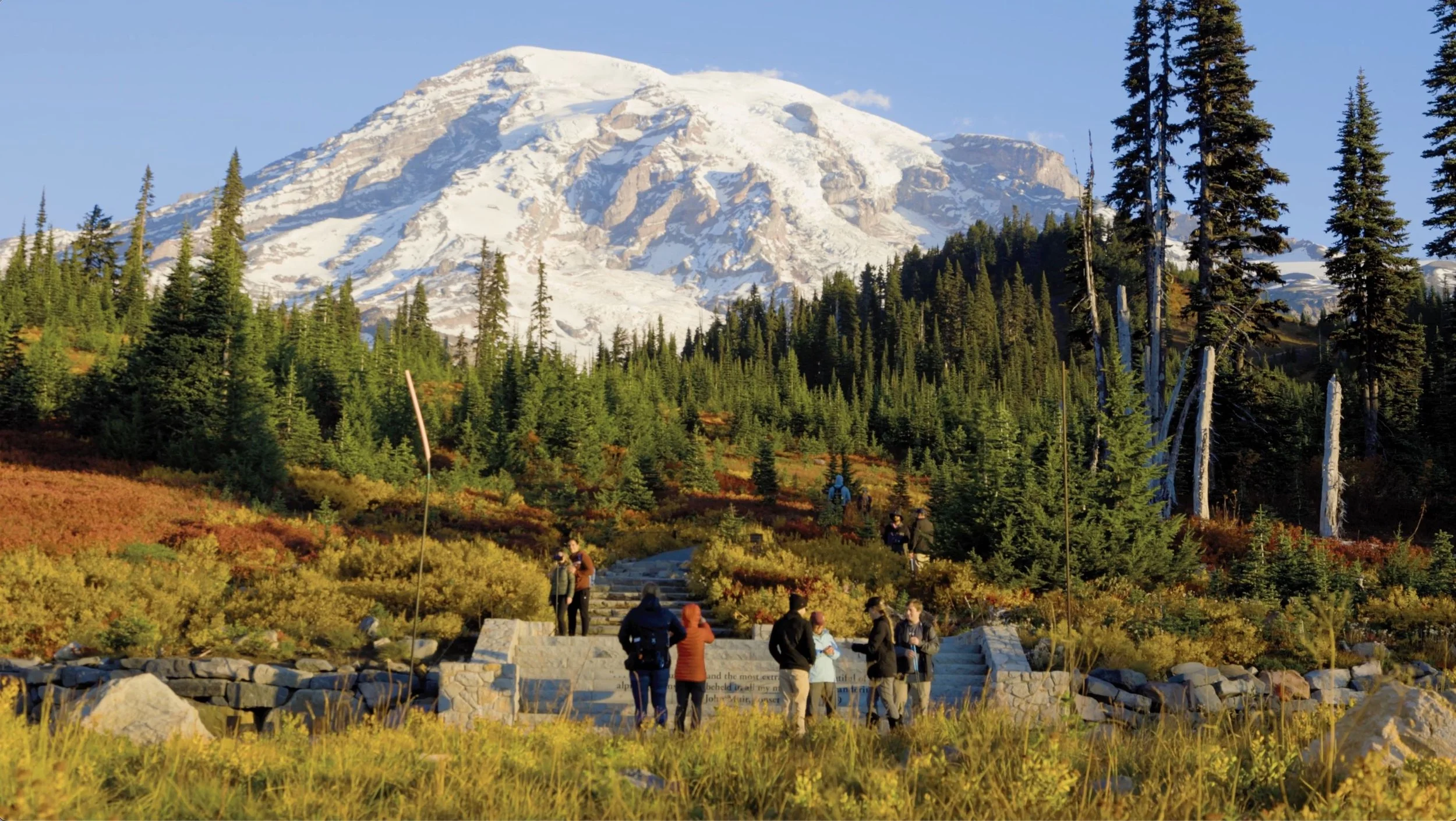 visit rainier paradise stairs advertisement tourism video