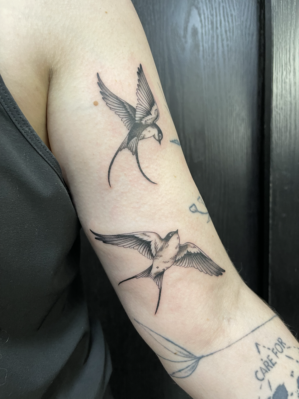mintcondishtattoo-twinswallows.png