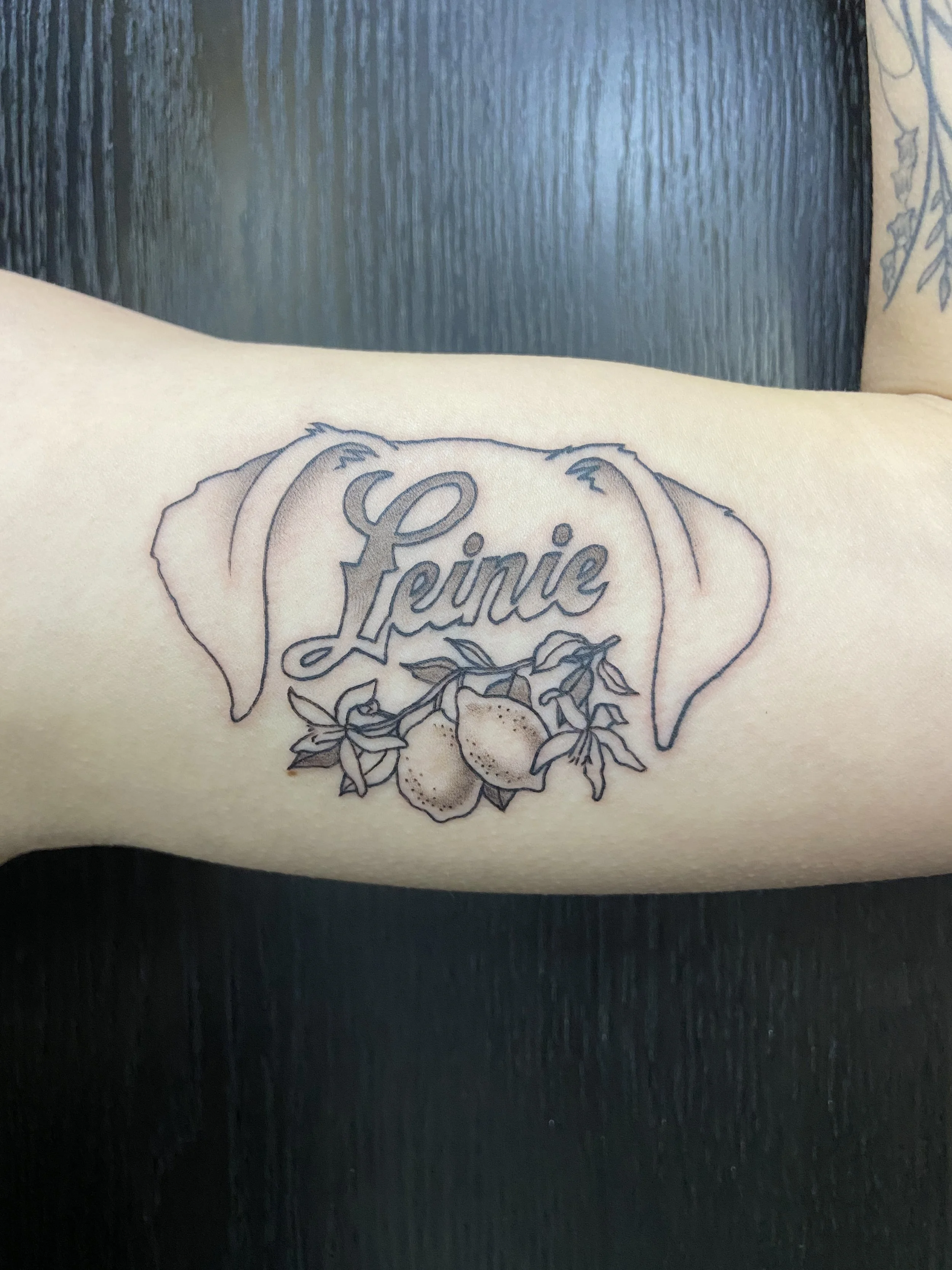 mintcondishtattoo-leinesummershandy.JPG