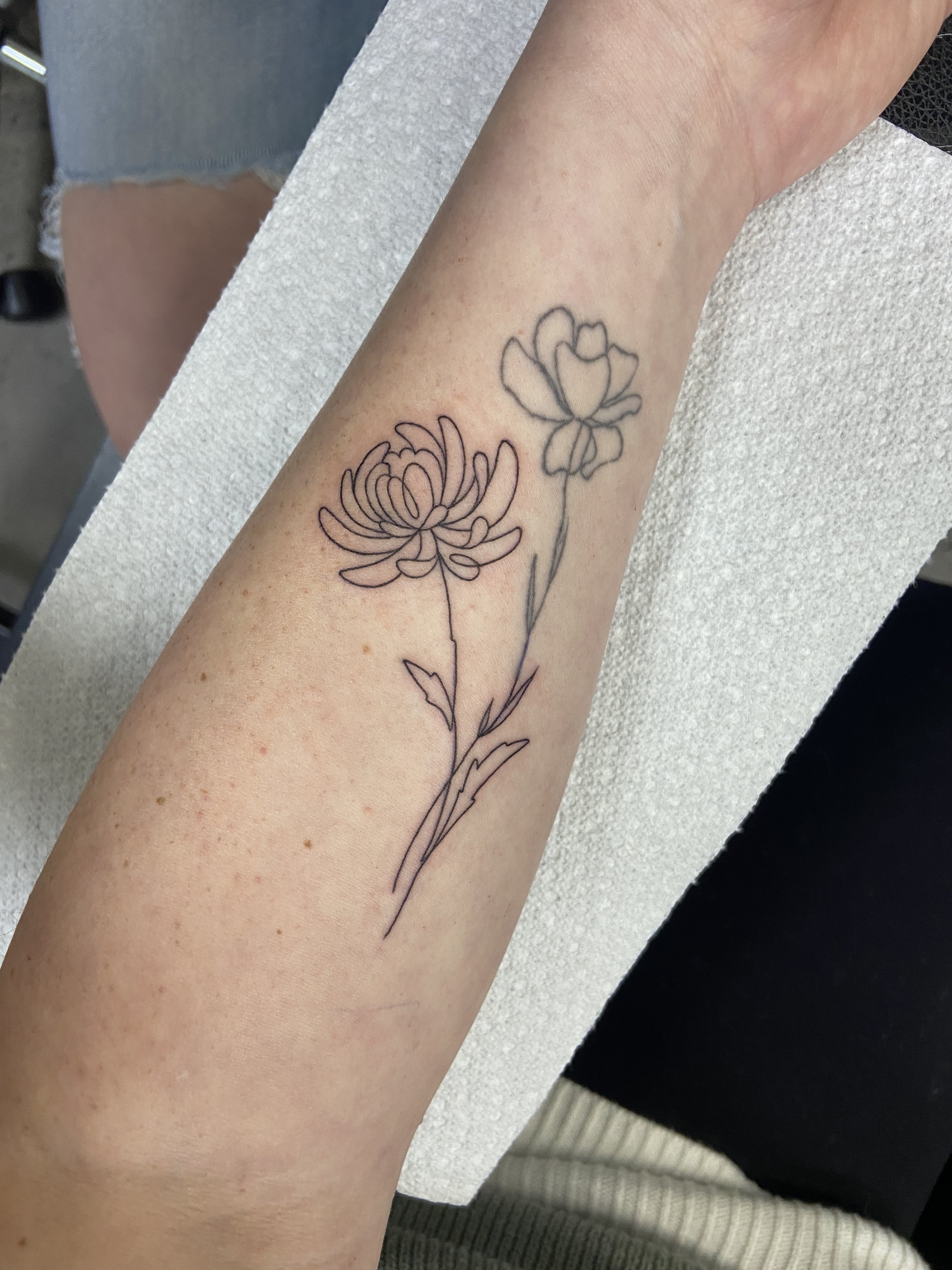 mintcondishtattoo-chrysanthemum.JPG