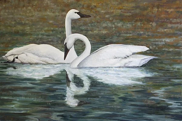 Together on a Pond.jpg