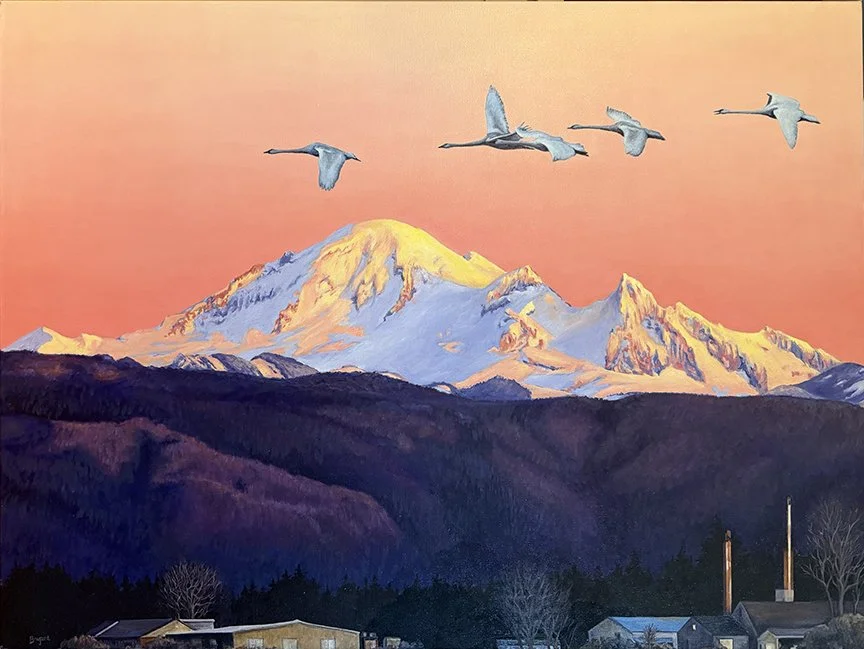 Swans over Mount Baker