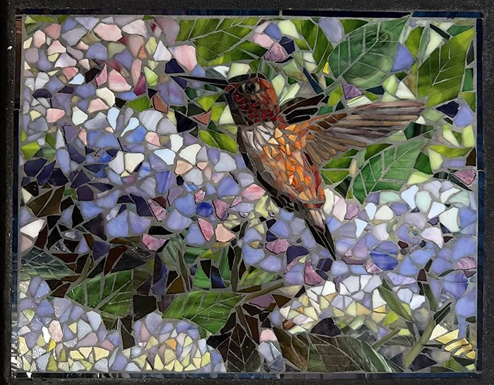 Hummingbird in the hydrangeaweb.jpg