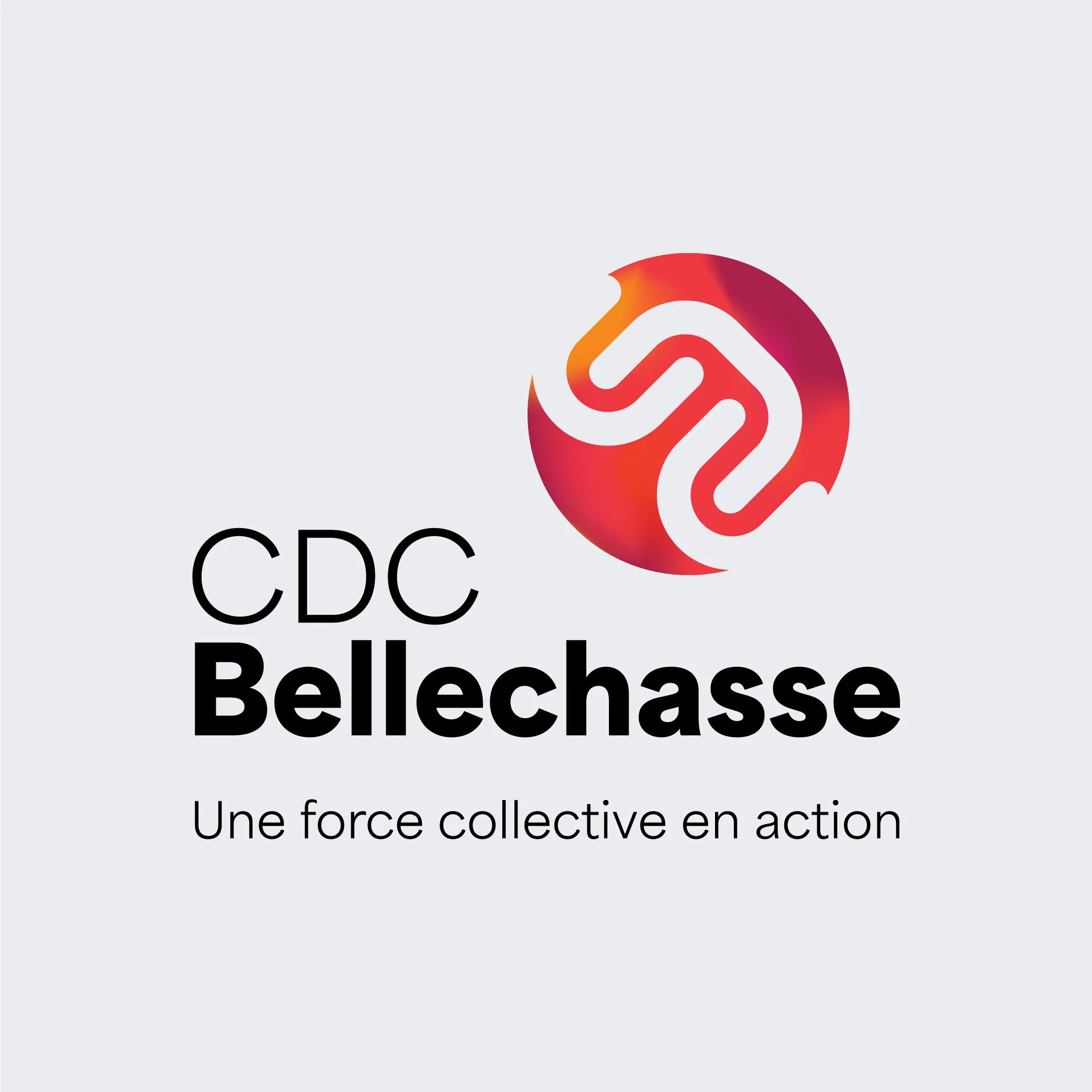 branding_logo_CDC_Bellechasse_Niveau_5_agence_de_communication.jpg