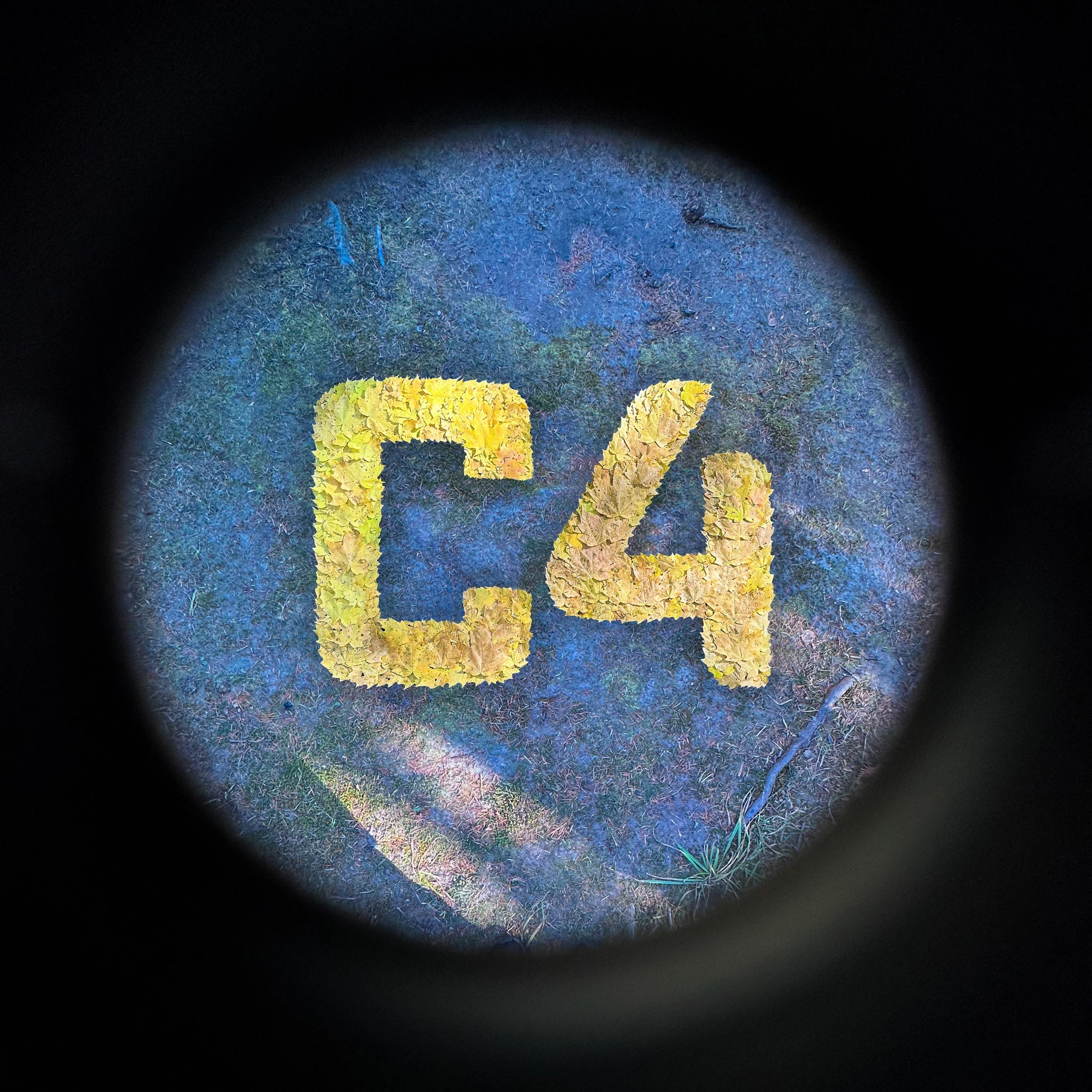 Œuvre de land art en feuilles réalisé par Jef C2 Jean-François Guérard pour la couverture de son 2e album C4, Chapitre 4, sous l'événement annuel Face à l'automne.