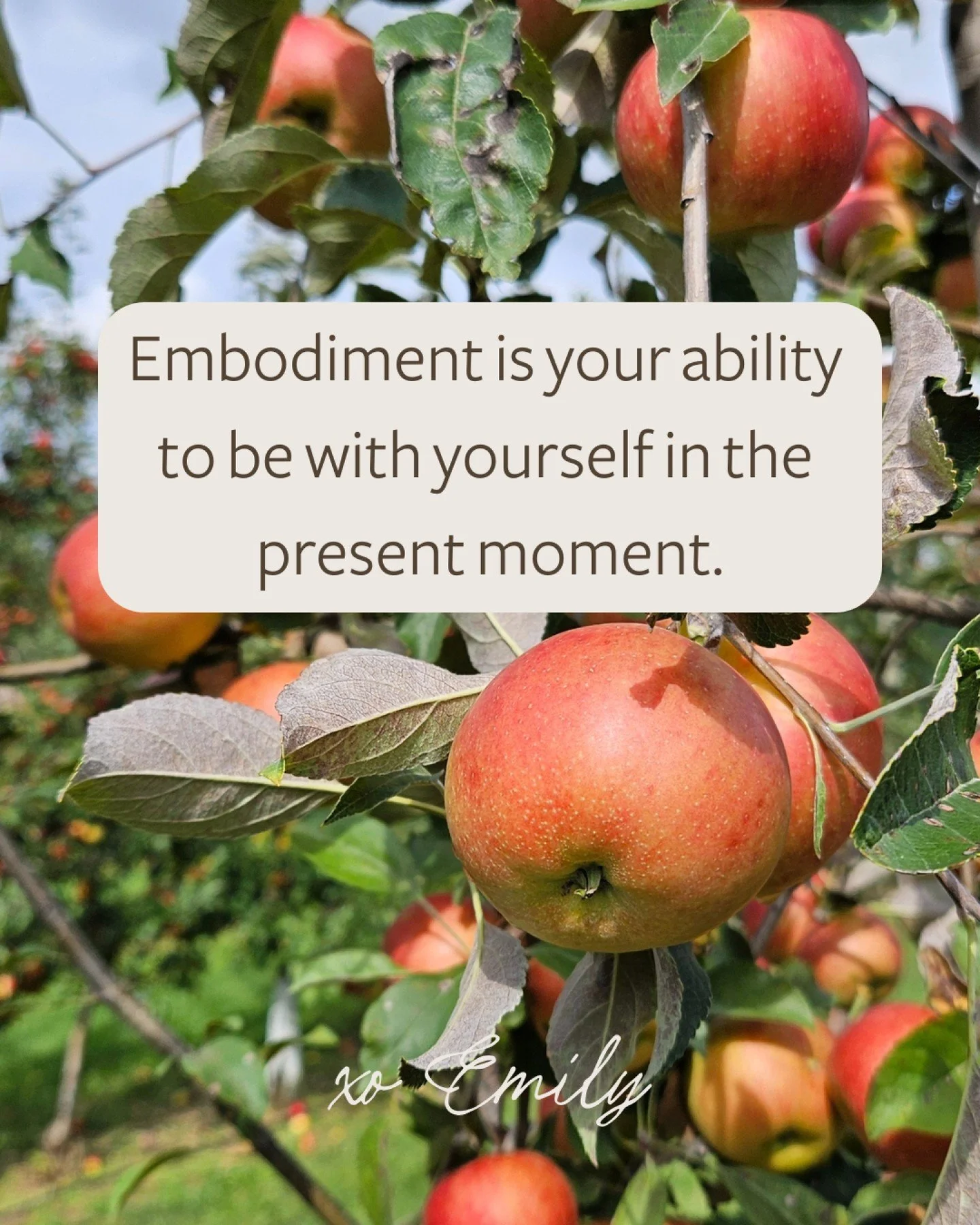 Embodiment = relationship with your body. 🌿

It&rsquo;s about awareness, curiosity, and compassion. Not &ldquo;fixing&rdquo; yourself.

Embodiment helps you move from autopilot into presence, so you can respond instead of react.

Embodiment isn&rsqu