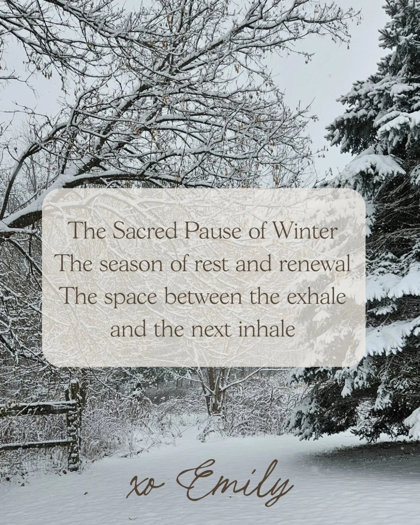 Winter carries the energy of rest and renewal.
A quiet turning inward.

A sacred pause where nothing is required of us.
Just as nature slows and regenerates beneath the surface, we&rsquo;re invited to do the same.

To listen.
To rest.
To trust the st