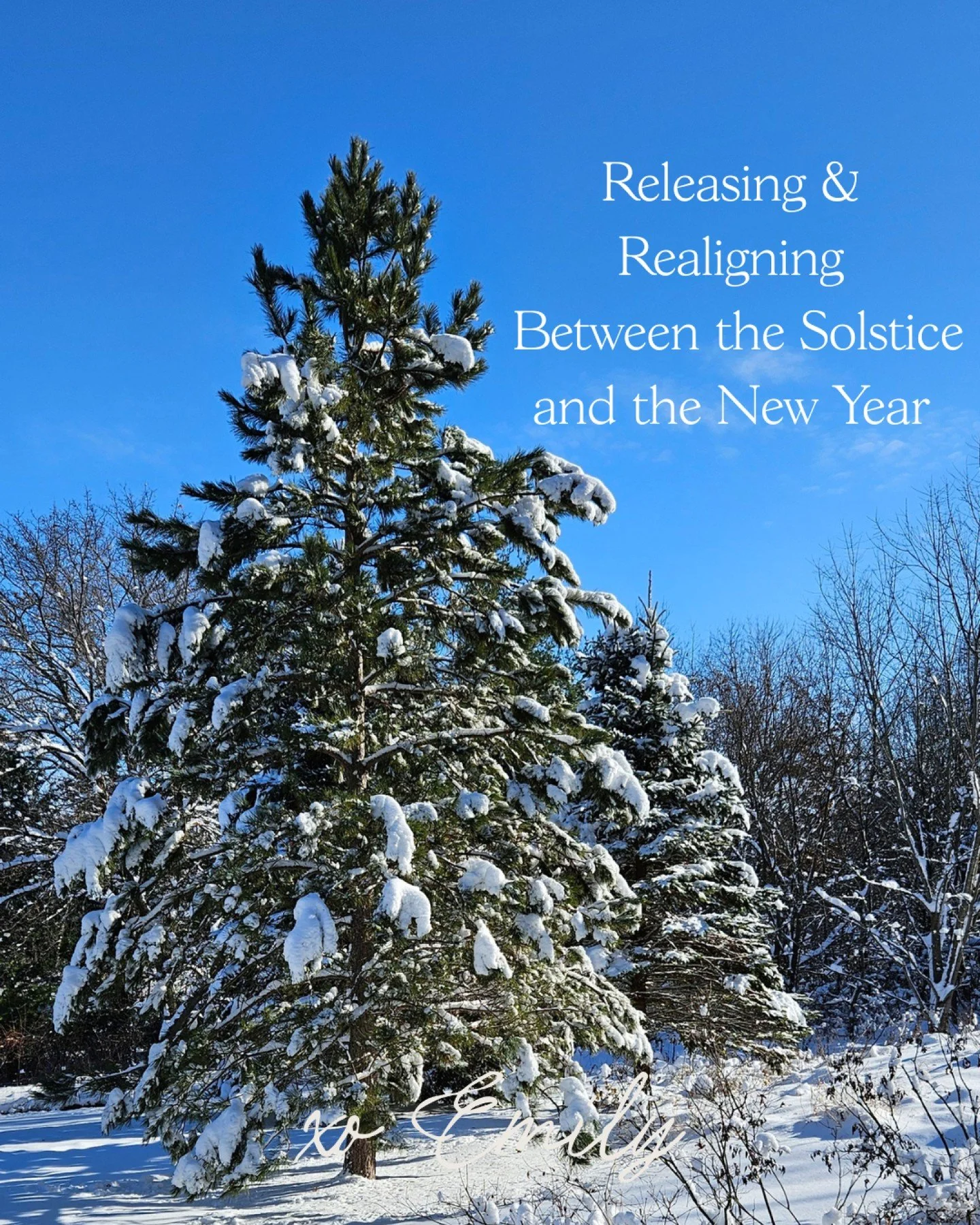 This season invites honest reflection. Not from pressure or urgency, but from a place of safety and trust.

When we clear space in our environments, our minds, and our bodies, we soften the static that disconnects us from inner knowing.

I&rsquo;m fo