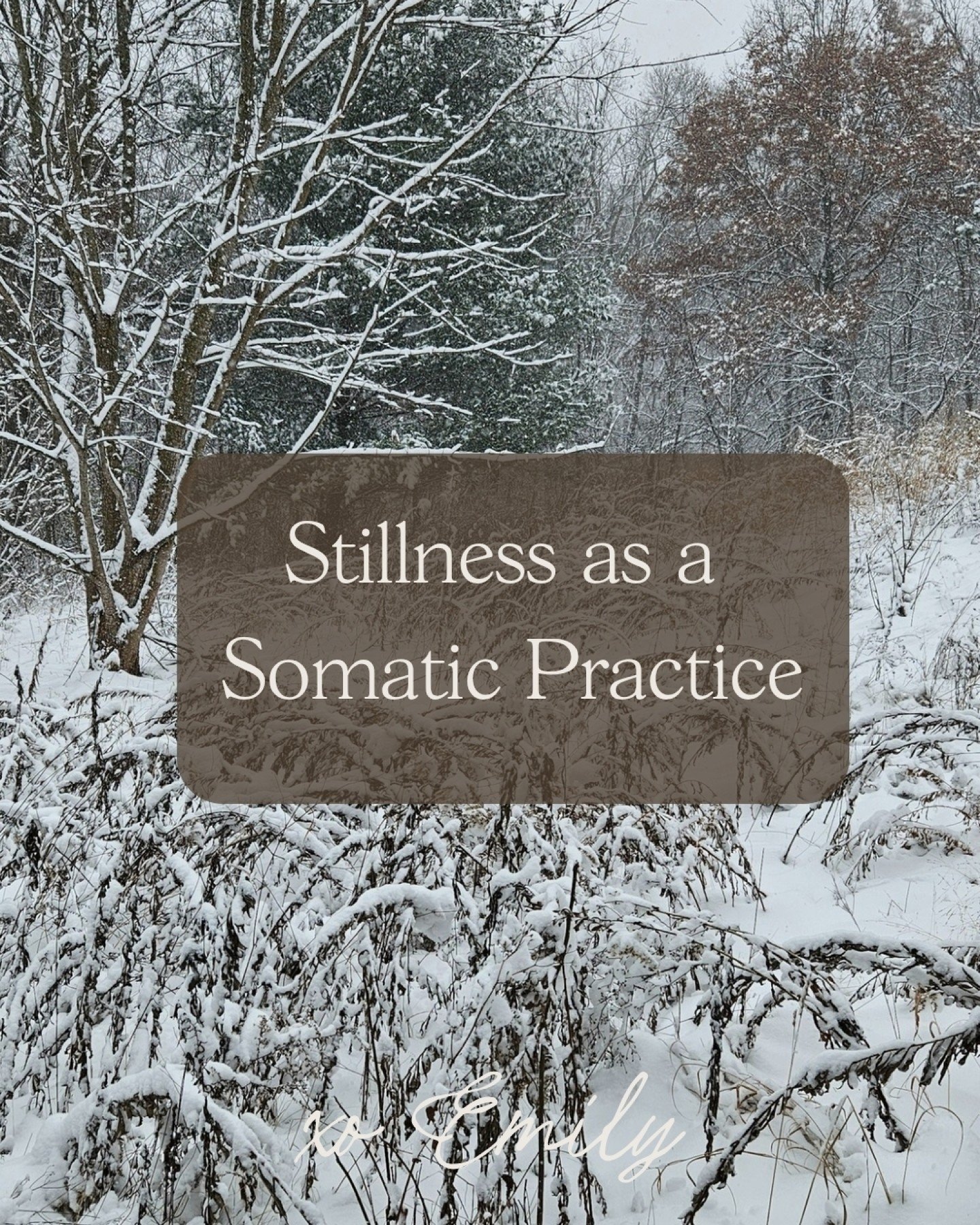 From a somatic perspective, winter invites stillness in our minds, bodies, and lives. Stillness asks us to be present with ourselves exactly as we are. It quiets mental chatter and softens the constant pull of distraction, allowing us to reconnect wi