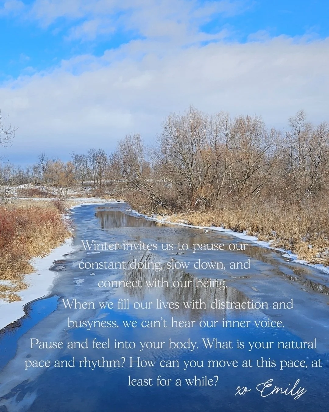 The Winter Path is now open inside Seasons of Embodiment. 

If you feel the pull to slow down but don't know how to actually make space in your life, I invite you to join Seasons of Embodiment. 

You will find supportive practices and nourishment inv