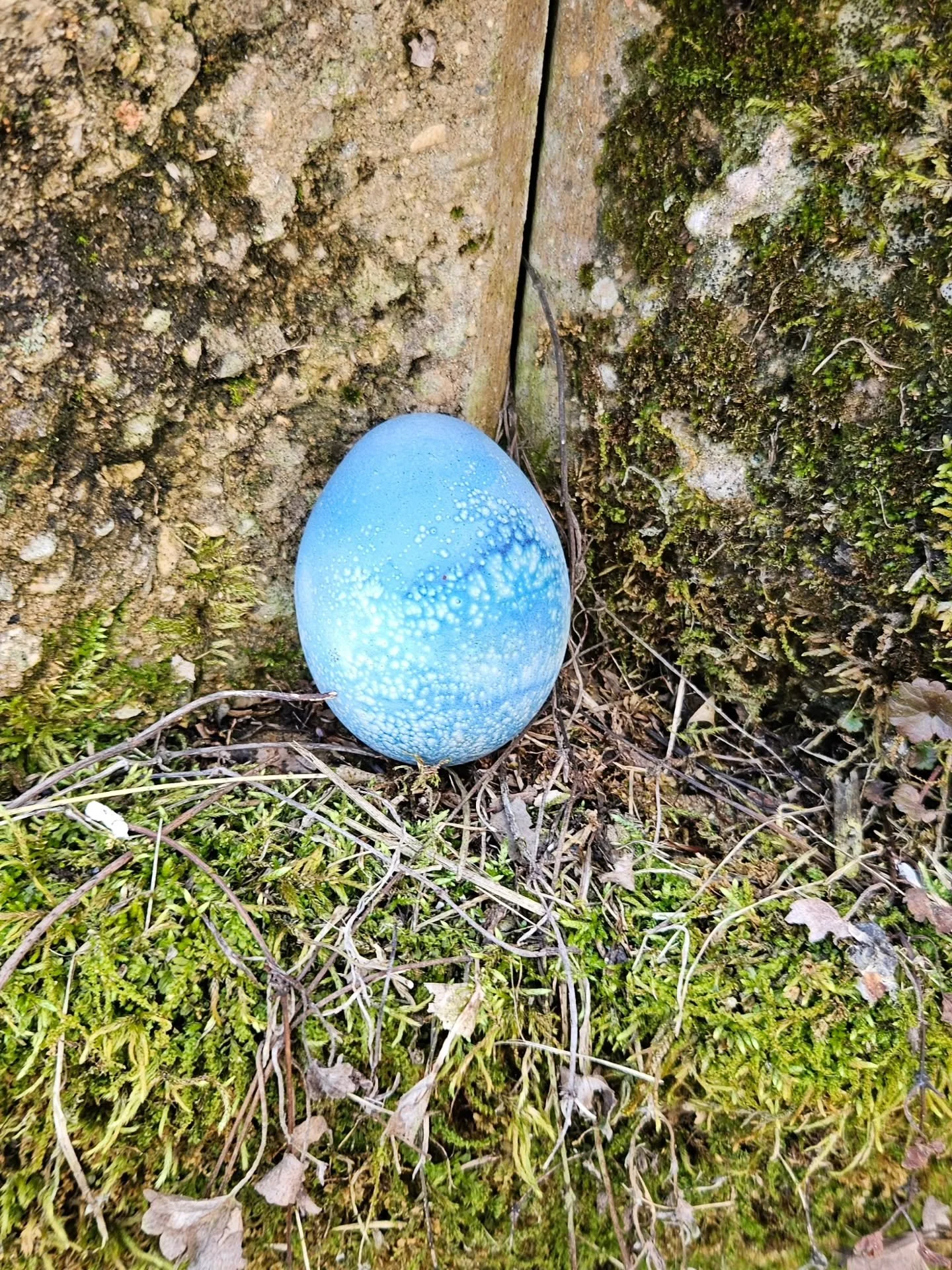 Before Easter, there is Ostara. The Spring Equinox, a  season of new beginnings, of inspiration, of hope. And eggs are a symbol of fertility and new life.

We celebrate Ostara as a family by dying eggs with herbs like hibiscus, butterfly pea flower, 