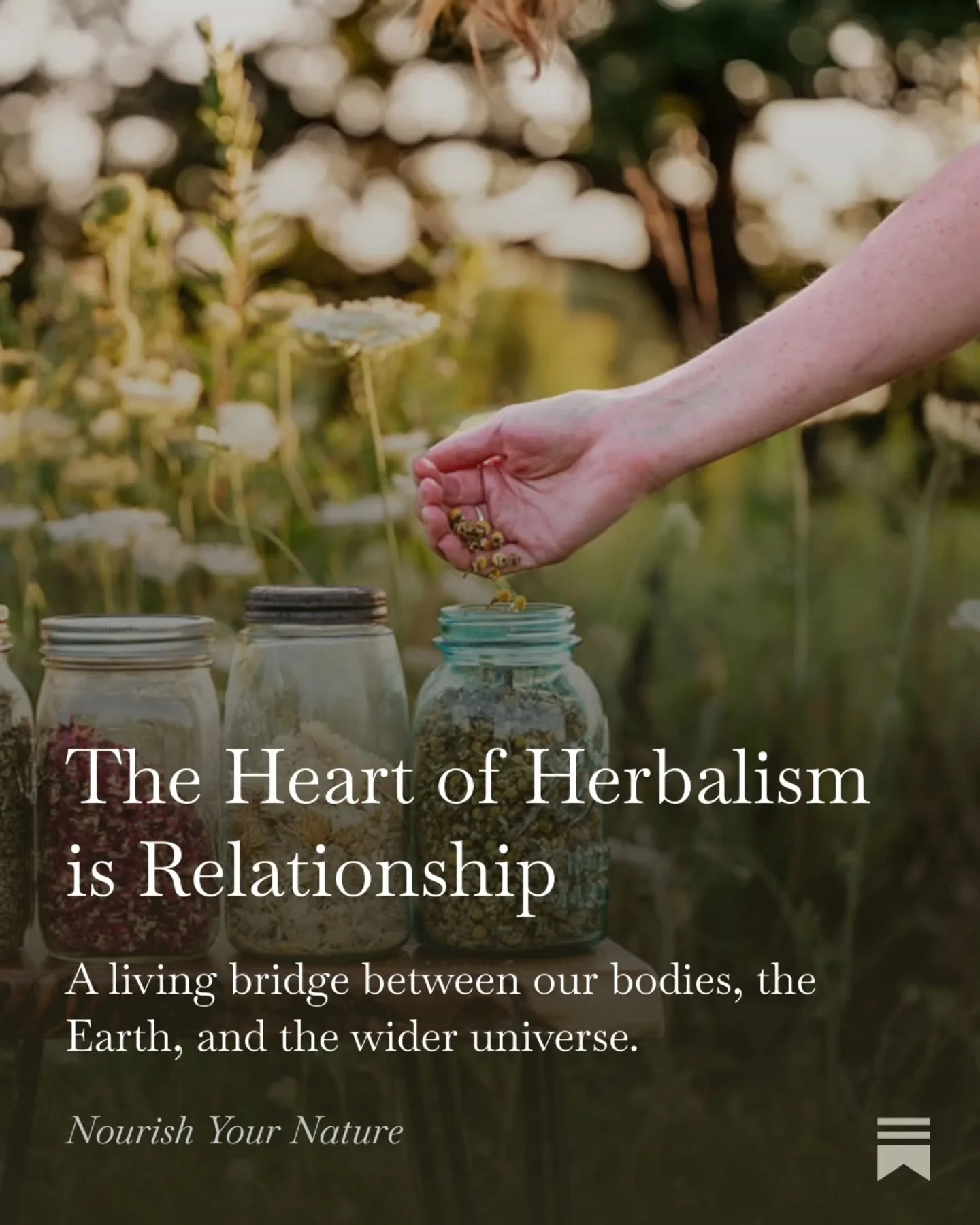 This week I'm sharing about how I practice herbalism and why this is such an integral part of how I weave embodiment work with nature and seasonality.&nbsp;

Spring is such a fun time to get to know plants as they grow all around us - nettle, violets