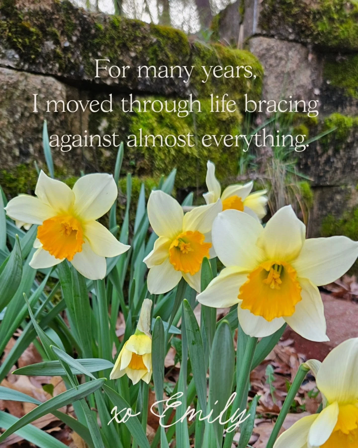 Are you subtley bracing against life?

What sensations do you notice in your body?

If this resonates with you, stay close. This is where we practice finding softness, relaxation, and ease in your body.