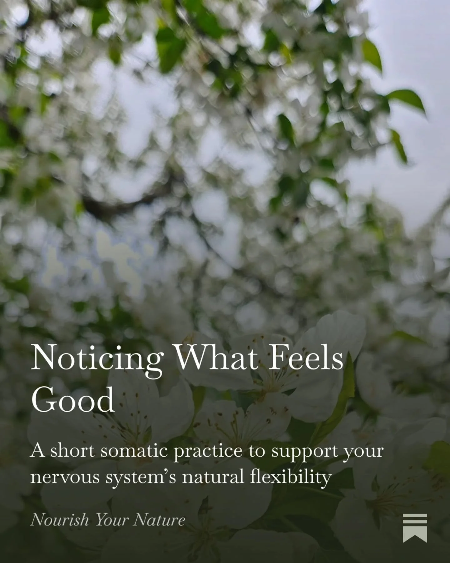 Today I&rsquo;m sharing a brief somatic pendulation practice.

In this practice, we gently move between noticing a place in your body that feels pleasant, pleasing, or even just neutral, and resting your gaze on something in your environment that fee