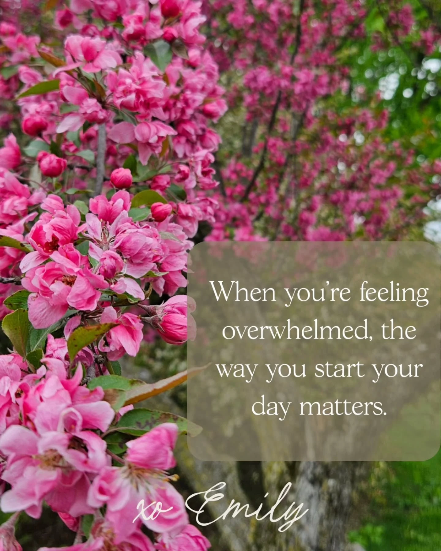 I can easily slip into starting my day with my to-do list and jumping into work mode. This ultimately leads to stress and something I call &ldquo;panic working&rdquo;.&nbsp;

I started making a few shifts in my day to reconnect with my body first and