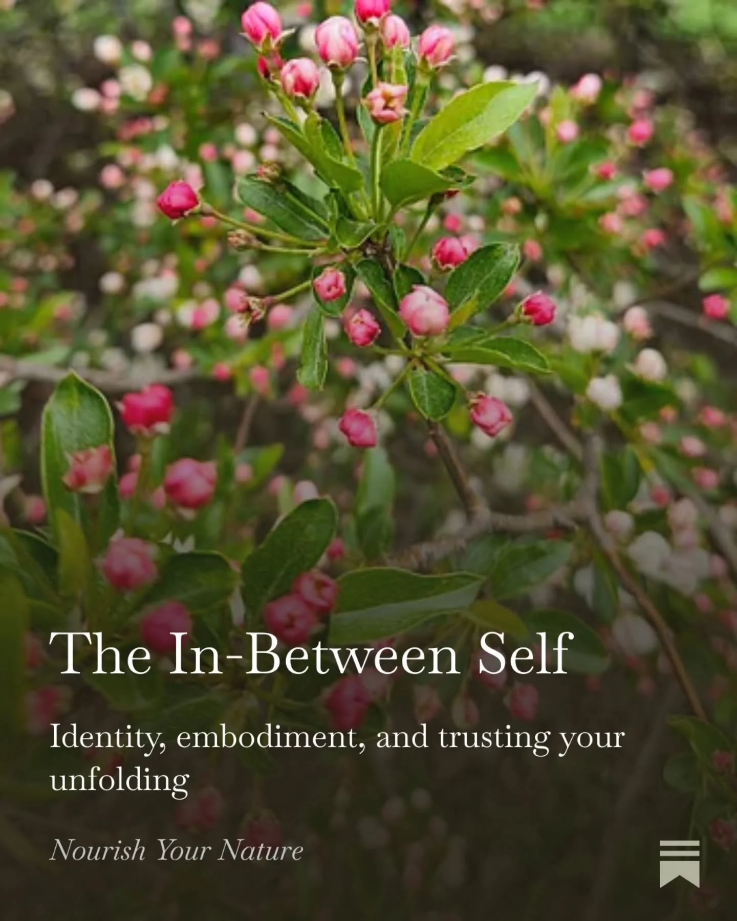 I&rsquo;ve been feeling a shift.&nbsp;

Not a big splashy transformation, but a subtle reworking.

Like puzzle pieces, once tightly joined, have shifted slightly and now there are small gaps between them.&nbsp;

I feel like the me of me is changing. 