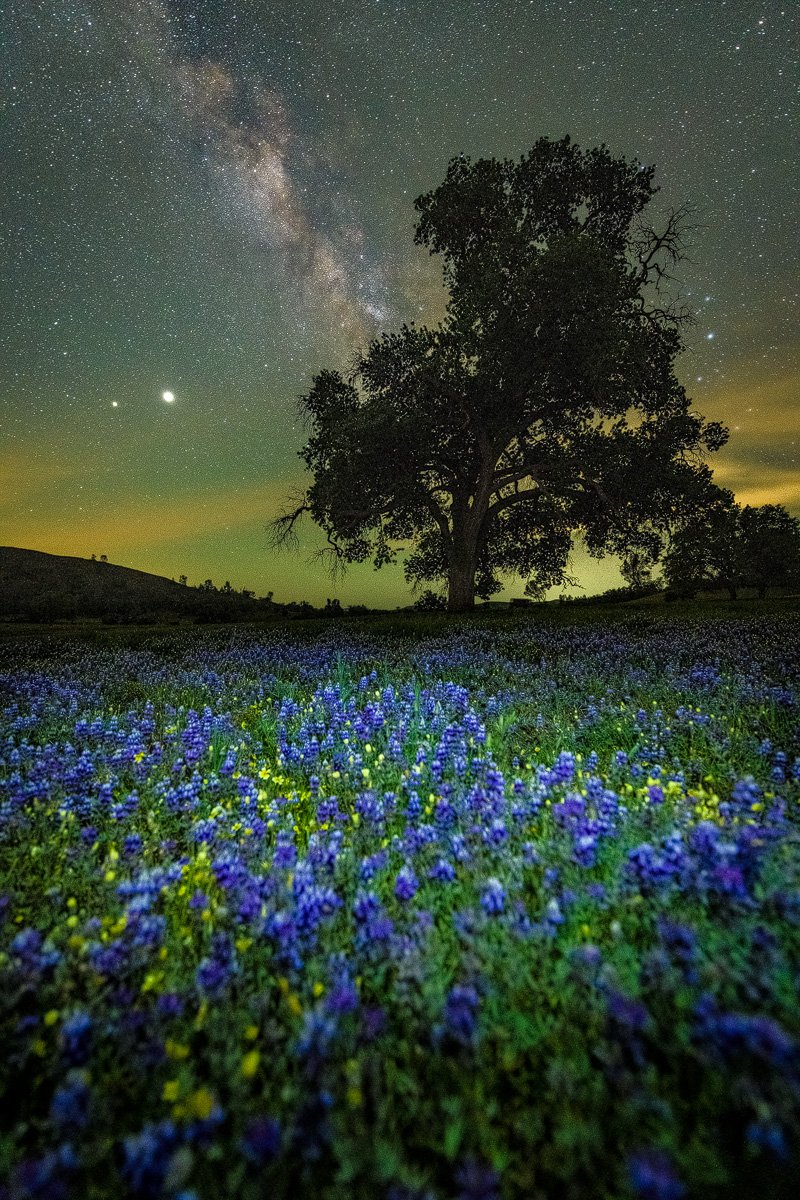 Van Gogh Blur:
Merging the beauty of Iris's and Starry Night from Vincent Van Gogh into one amazing morning on Shell Creek Road near Paso Robles.