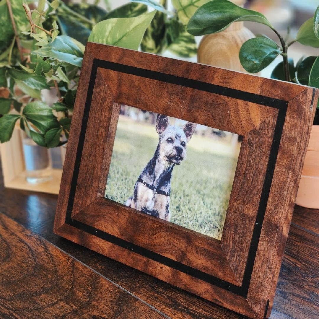 https://i.etsystatic.com/37541690/r/il/3d77ea/5267249520/il_fullxfull.5267249520_cjqn.jpg