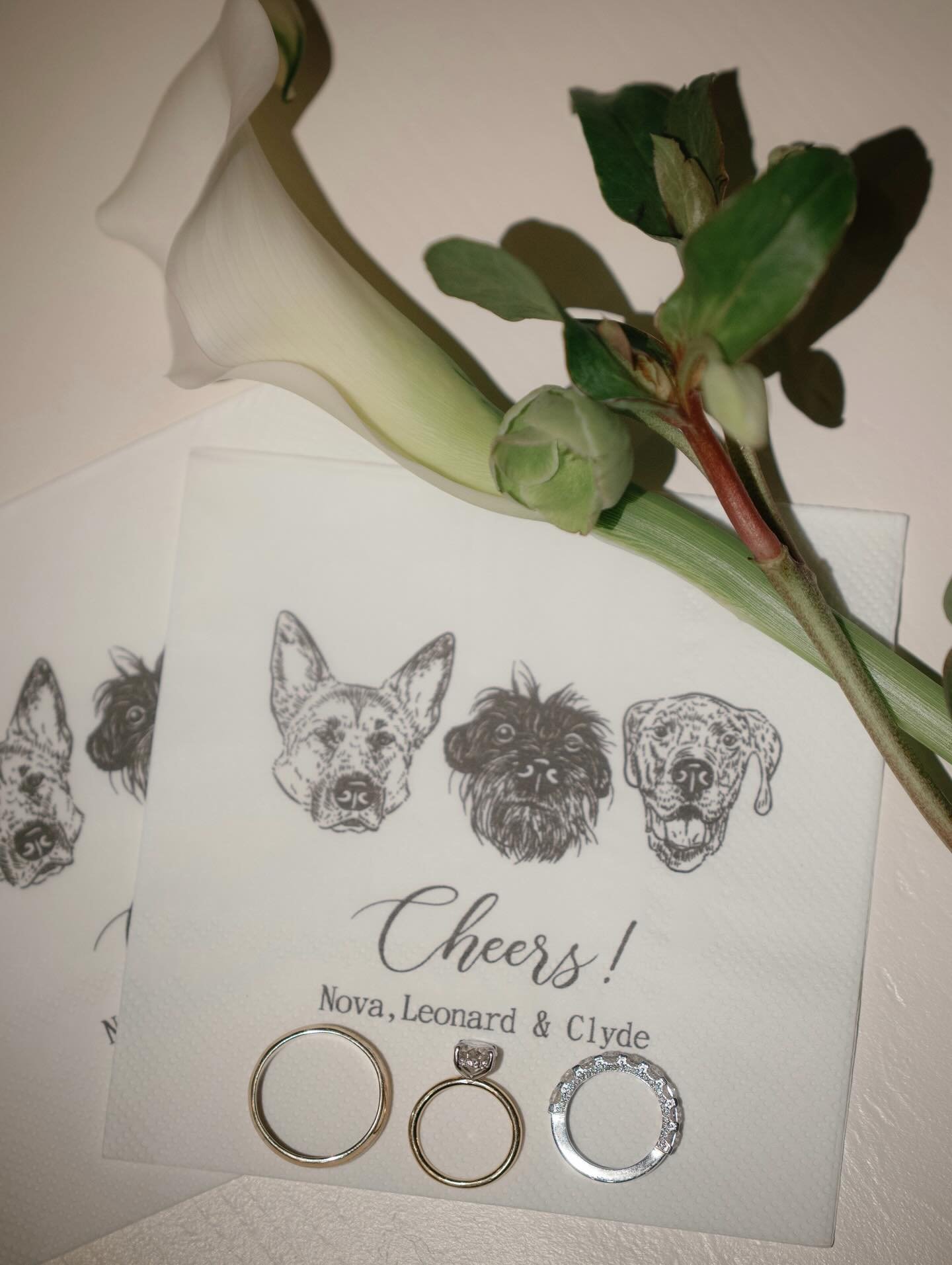 Because weddings are better with pups 🐾🥂

Vendors:
Venue: @stanleyparkpav 
Photographer: @kaoverii_silva 
Florals: @de.la.flore 
Glam Team: @bridalhairvancouver, @makeupbyisabellamartini, @savethedatebeauty 

&bull;
&bull;
&bull;
&bull;
&bull; 

#E