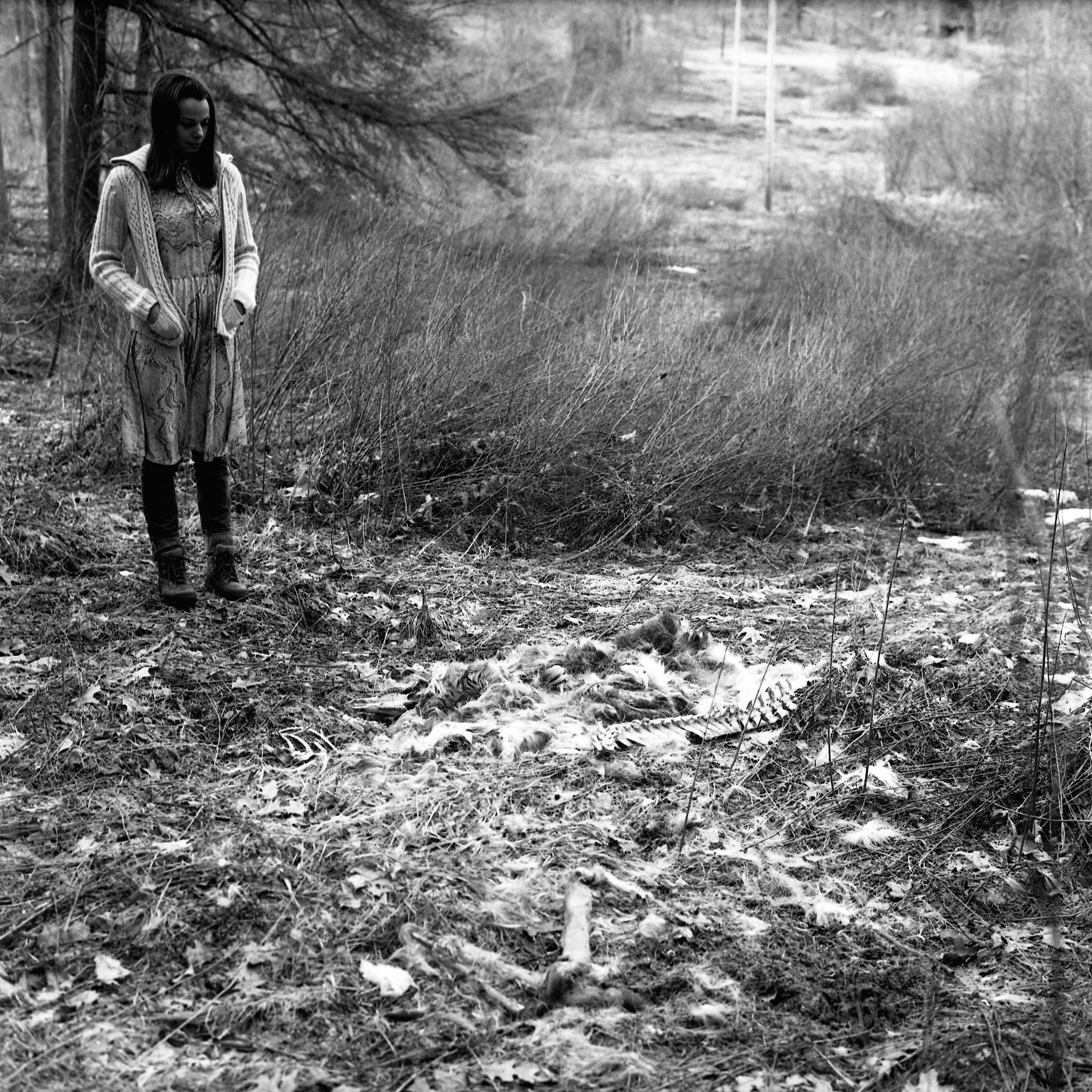 Colleen_Longo_Collins_Earthing-6.jpg