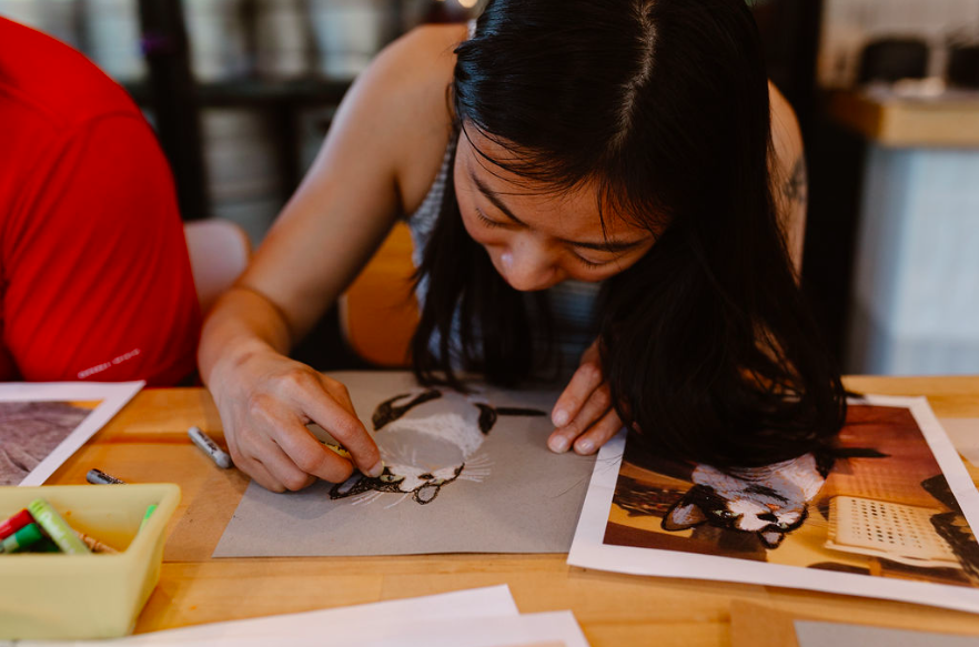 A person drawing a raccoon using pastels while looking at a reference photo.