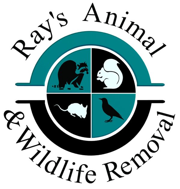Rays Animal &amp; Wildlife Removal 848-466-0659