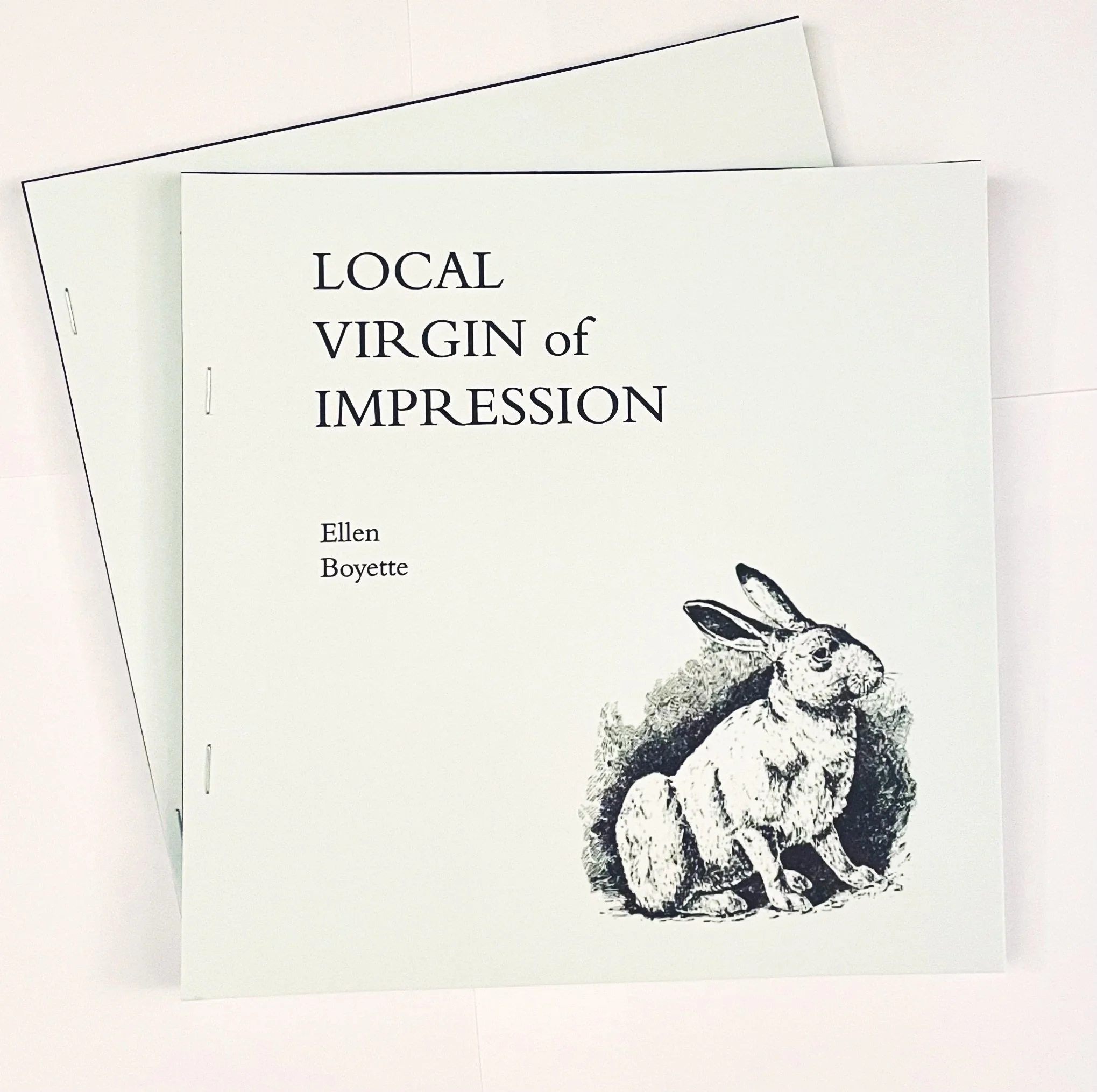 LOCAL VIRGIN OF IMPRESSION by Ellen Boyette