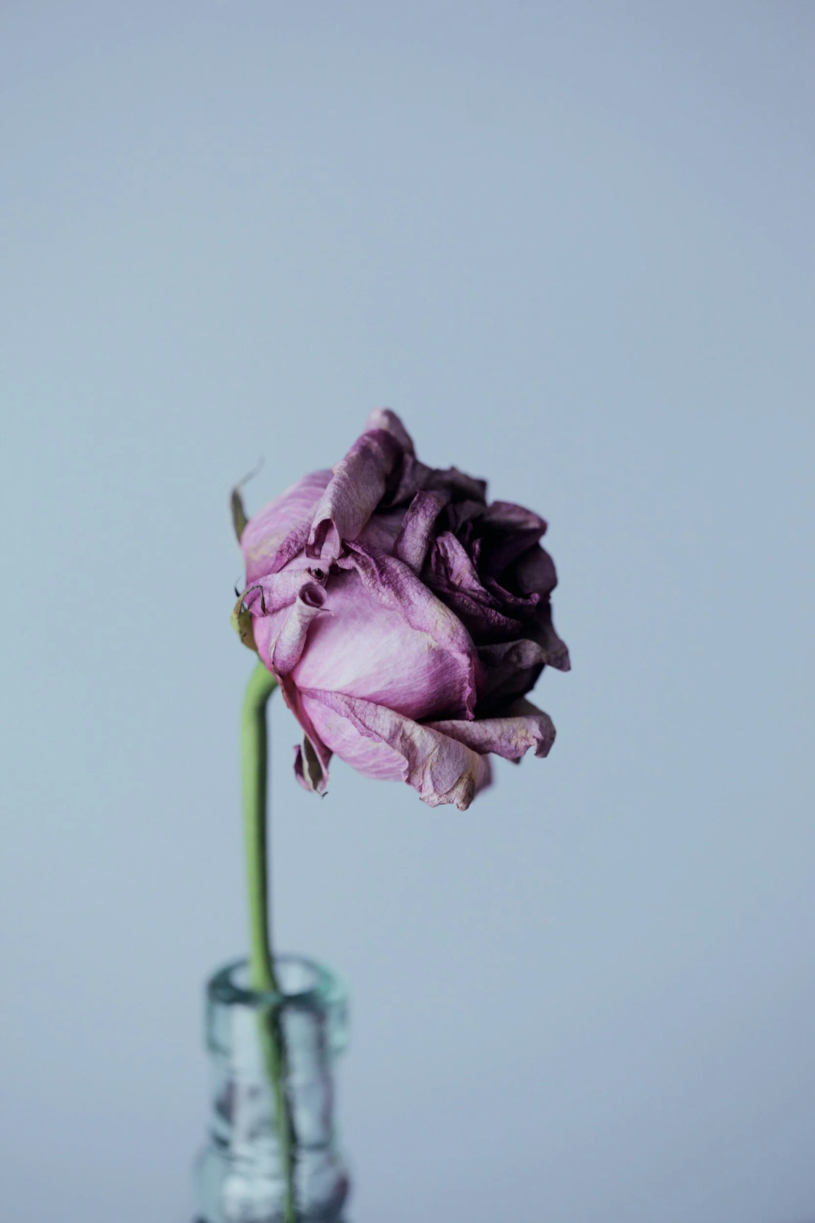 unsplash-image-GqPhbmoLUIs.jpg