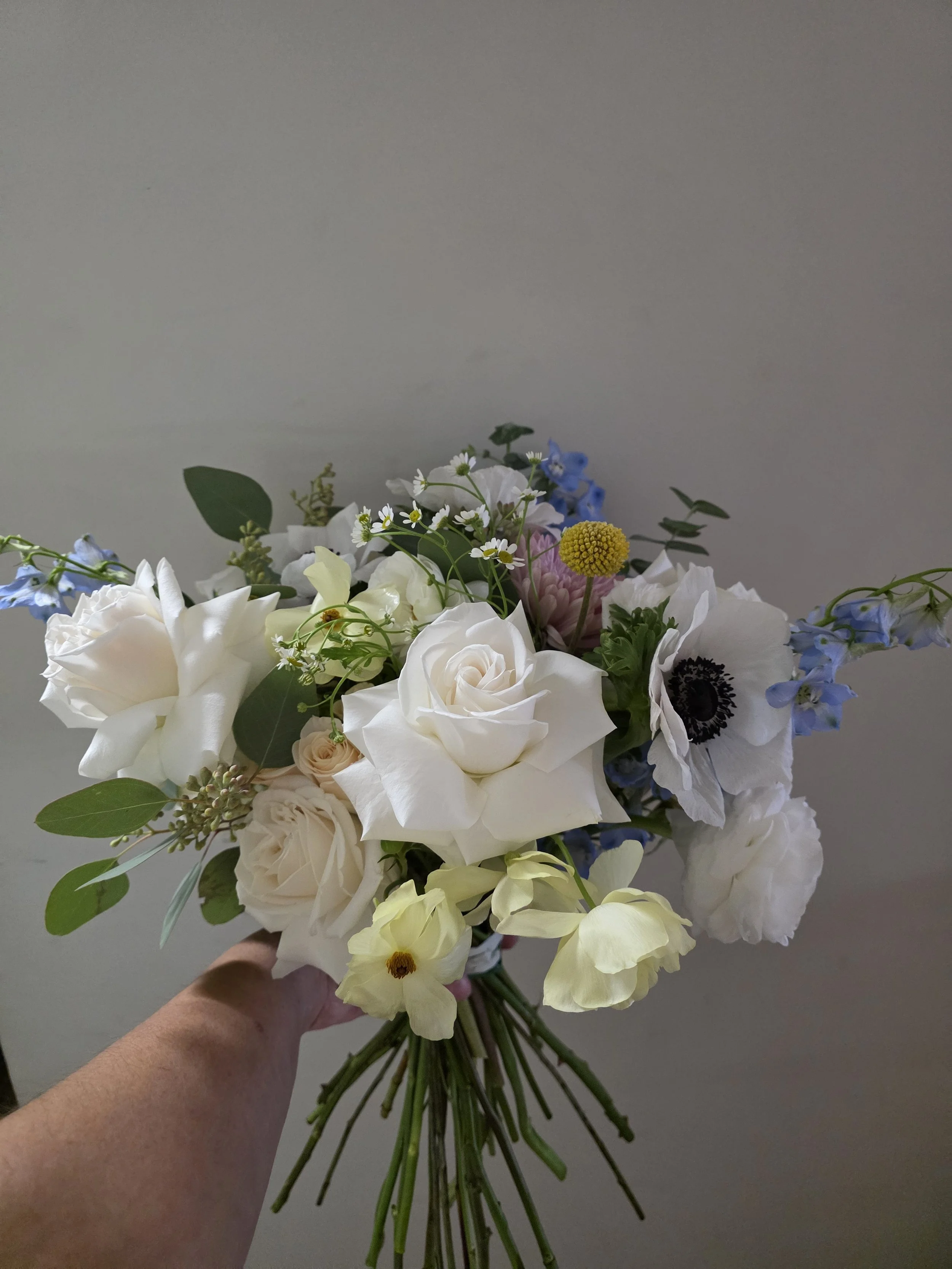 Copy of 20251002_152857.jpg