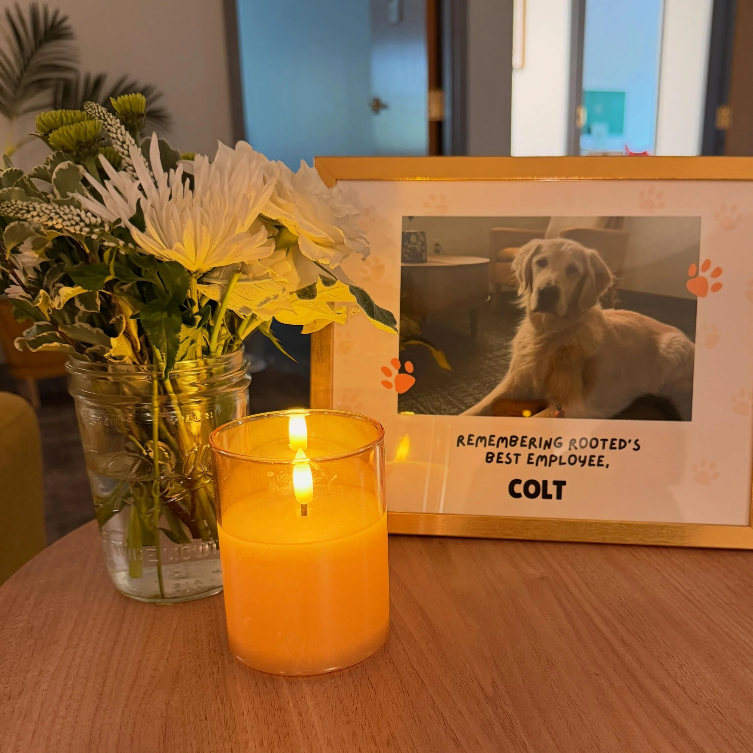 Our Westford office had an incredible loss this week. Our sweet therapy dog (&amp; star employee), Colt, was laid to rest ❤️
&bull;
Colt was loved by so many clients, parents, siblings of clients, staff&hellip;the list goes on. 
&bull;
It was always 