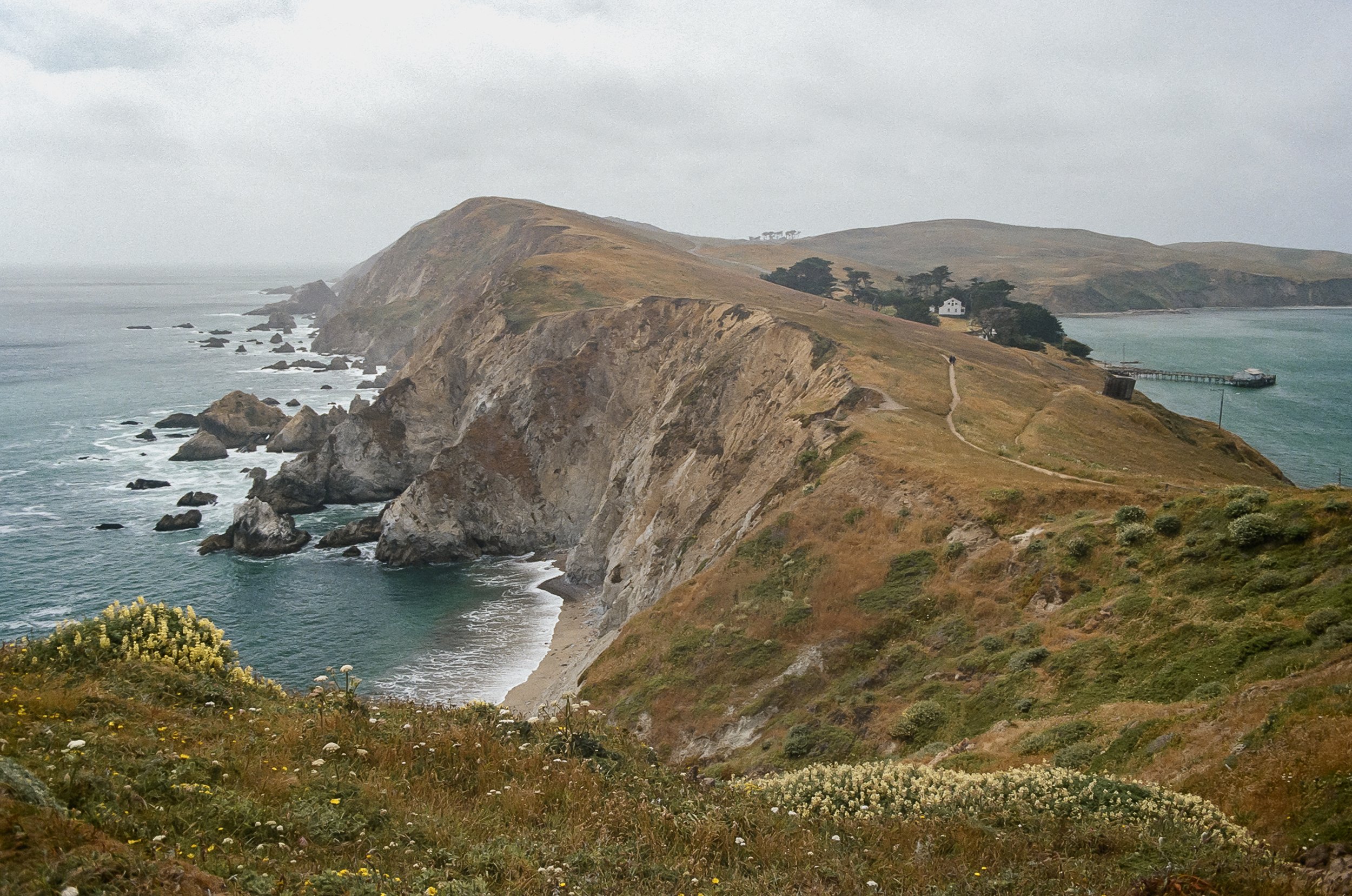 PointReyesCA-AlexaLefler-June2025-39.jpg