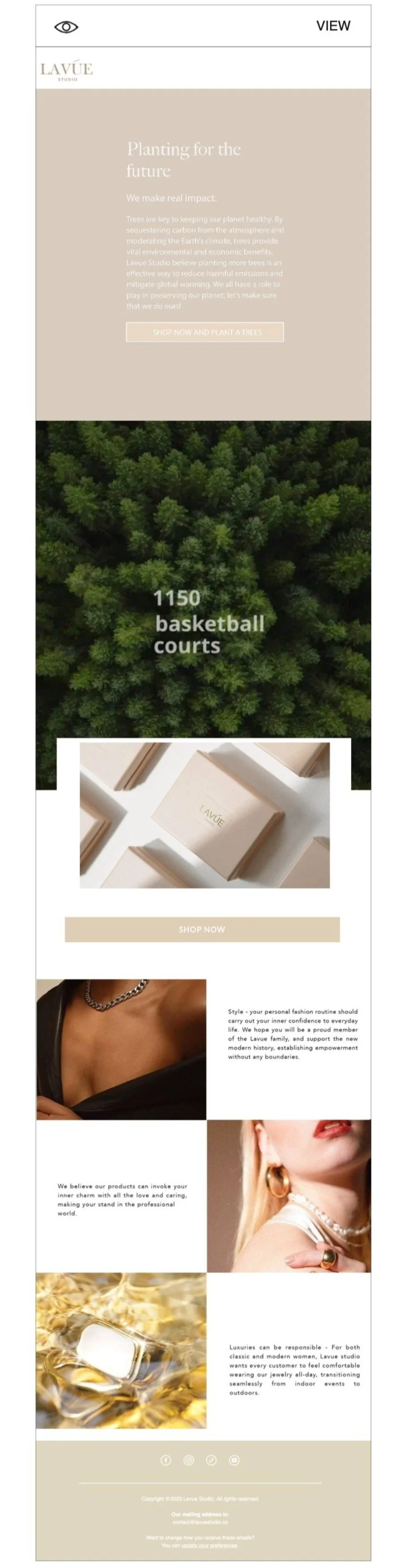 lavue email marketing layout  (dragged) 2.jpg