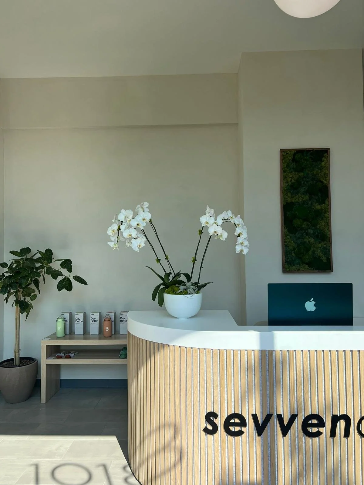 WhatsApp Image 2024-08-25 at 16.08.24_f4345d55.jpg