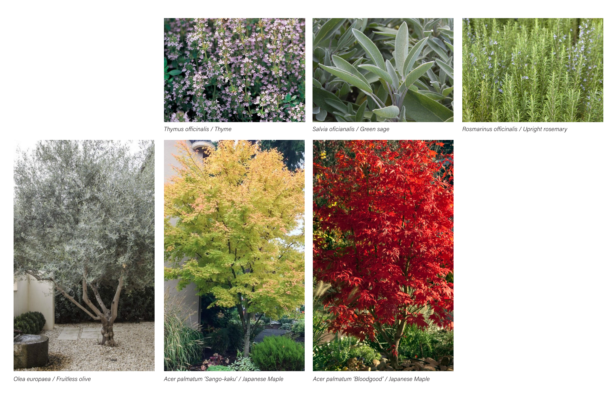 EARTHWOOD_Plant&Materials Page 002.png