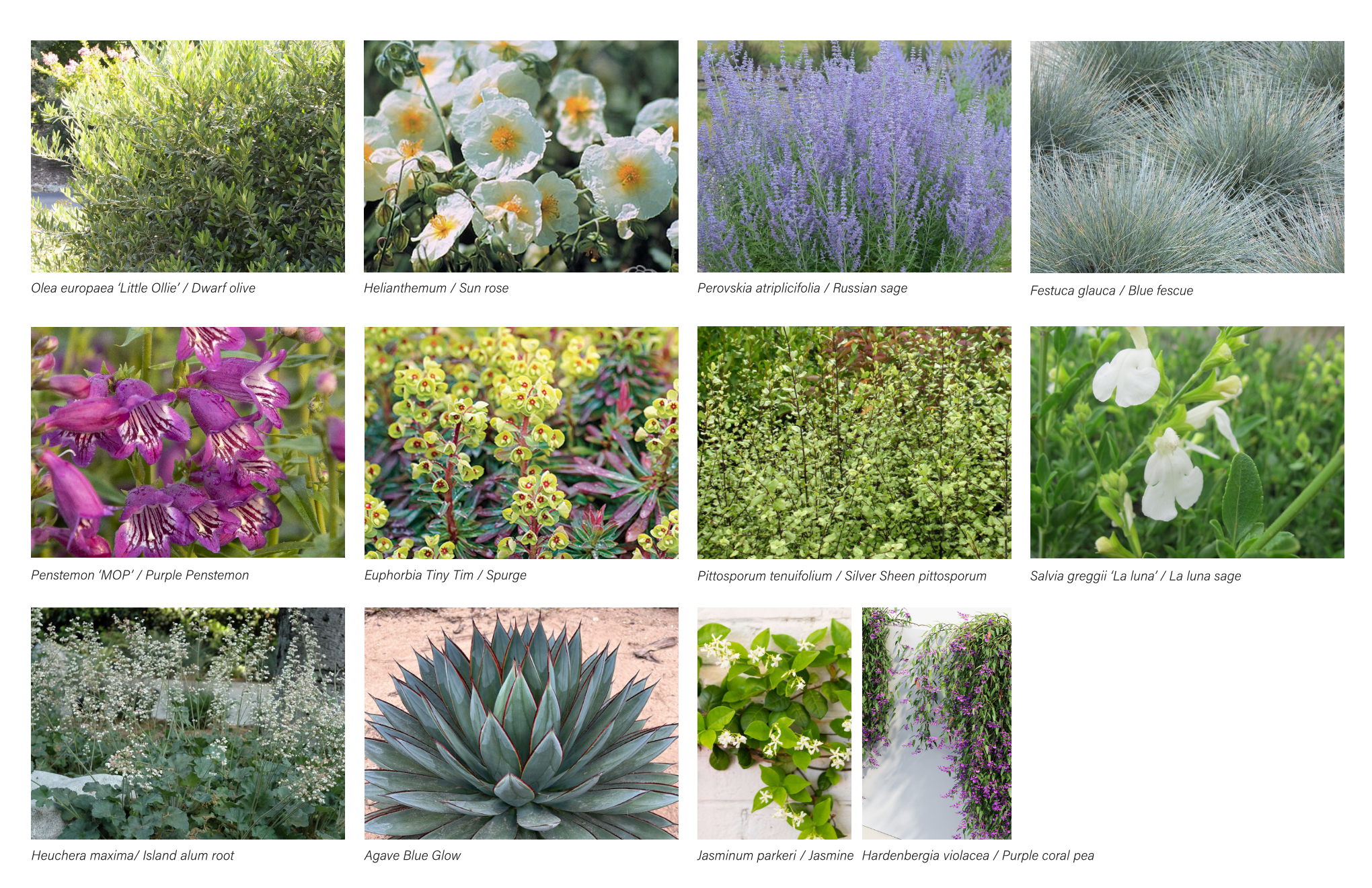 EARTHWOOD_Plant&Materials Page 001.png