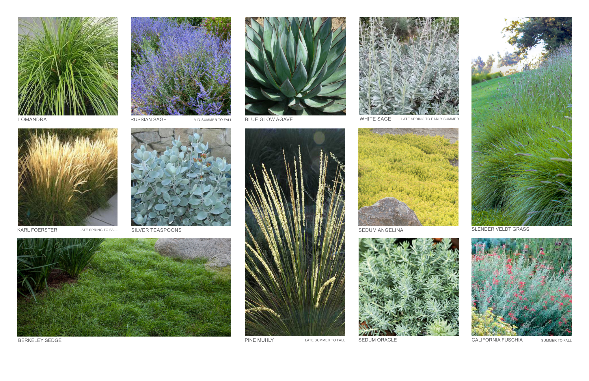 Brinkman Materials Palette Revised Page 001.png