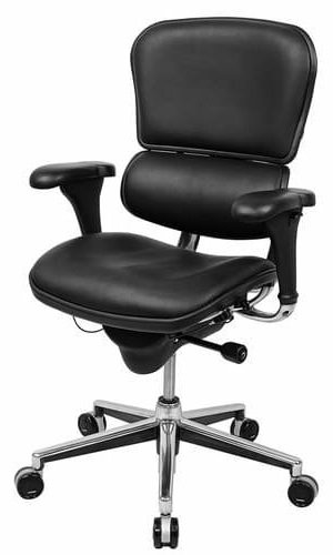 Eurotech Black Leather Ergohuman Luxury Chair