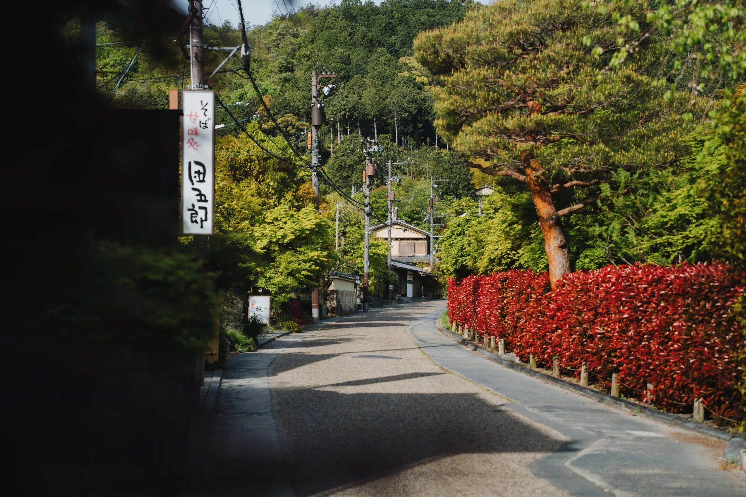 DSC00398.jpg