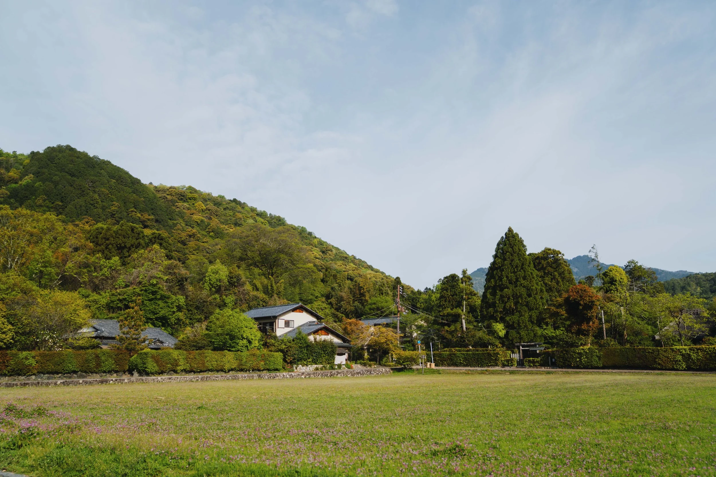 DSC00446.jpg