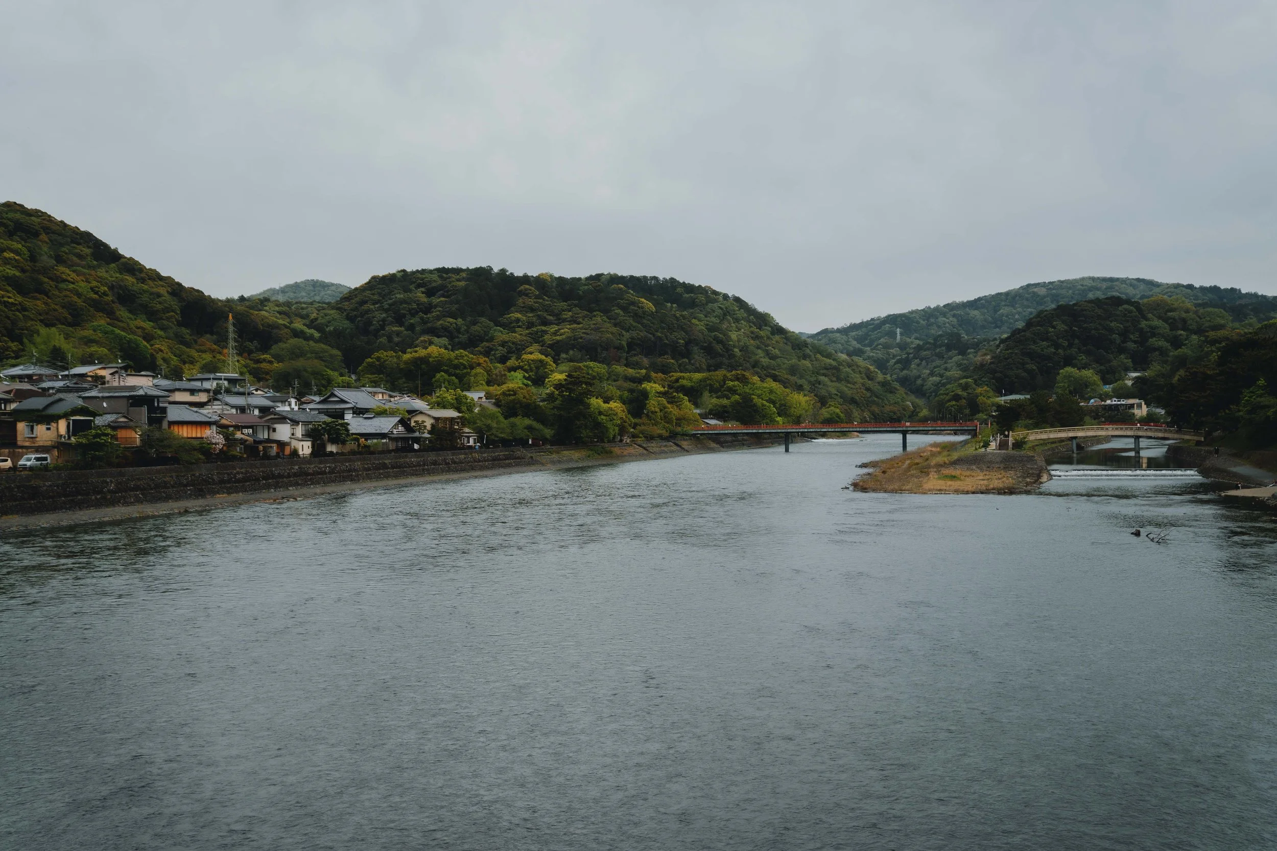 DSC08076.jpg